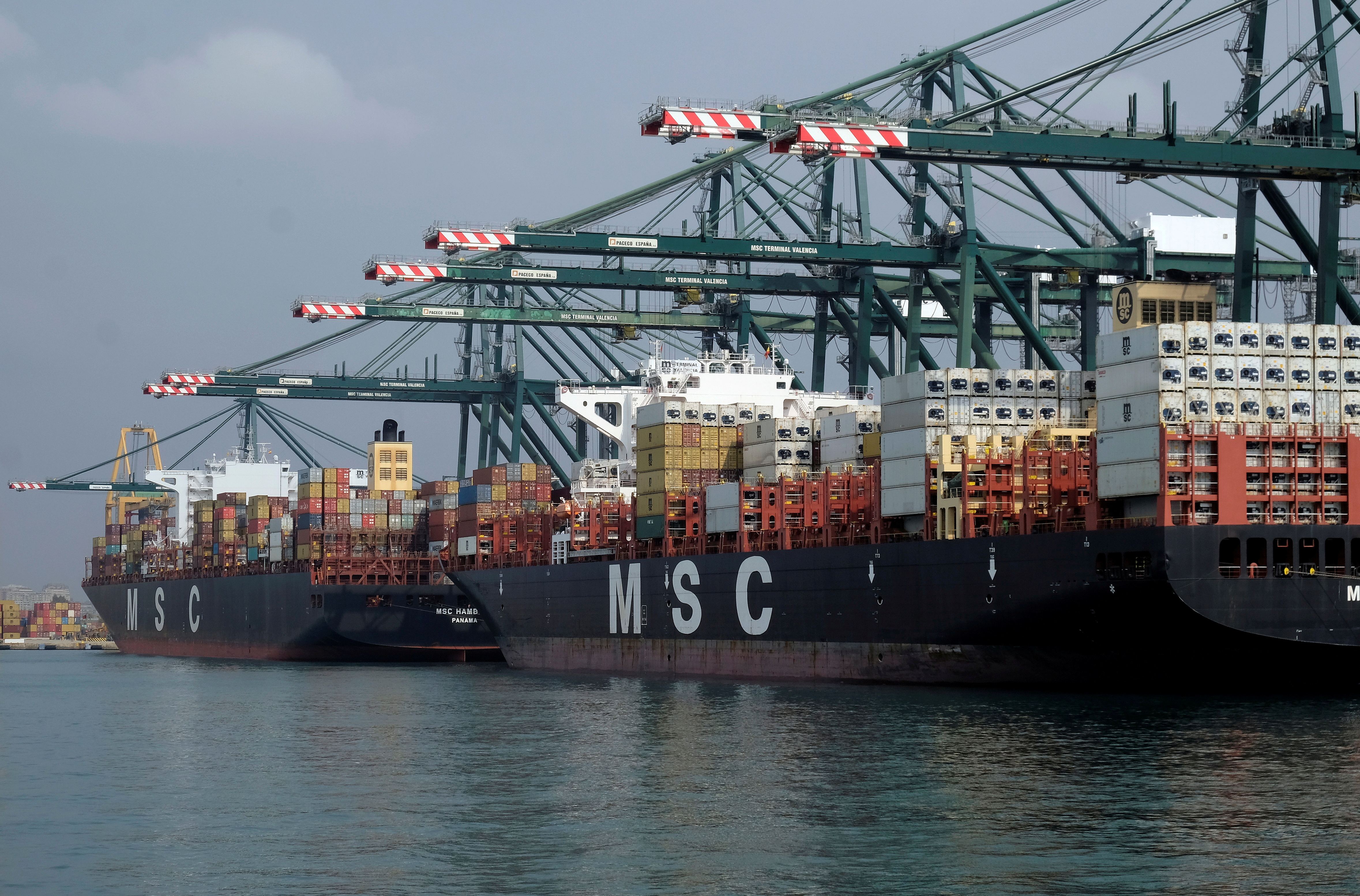 Cargo ships are docked beside cranes at the MSC container terminal at the port of Valencia