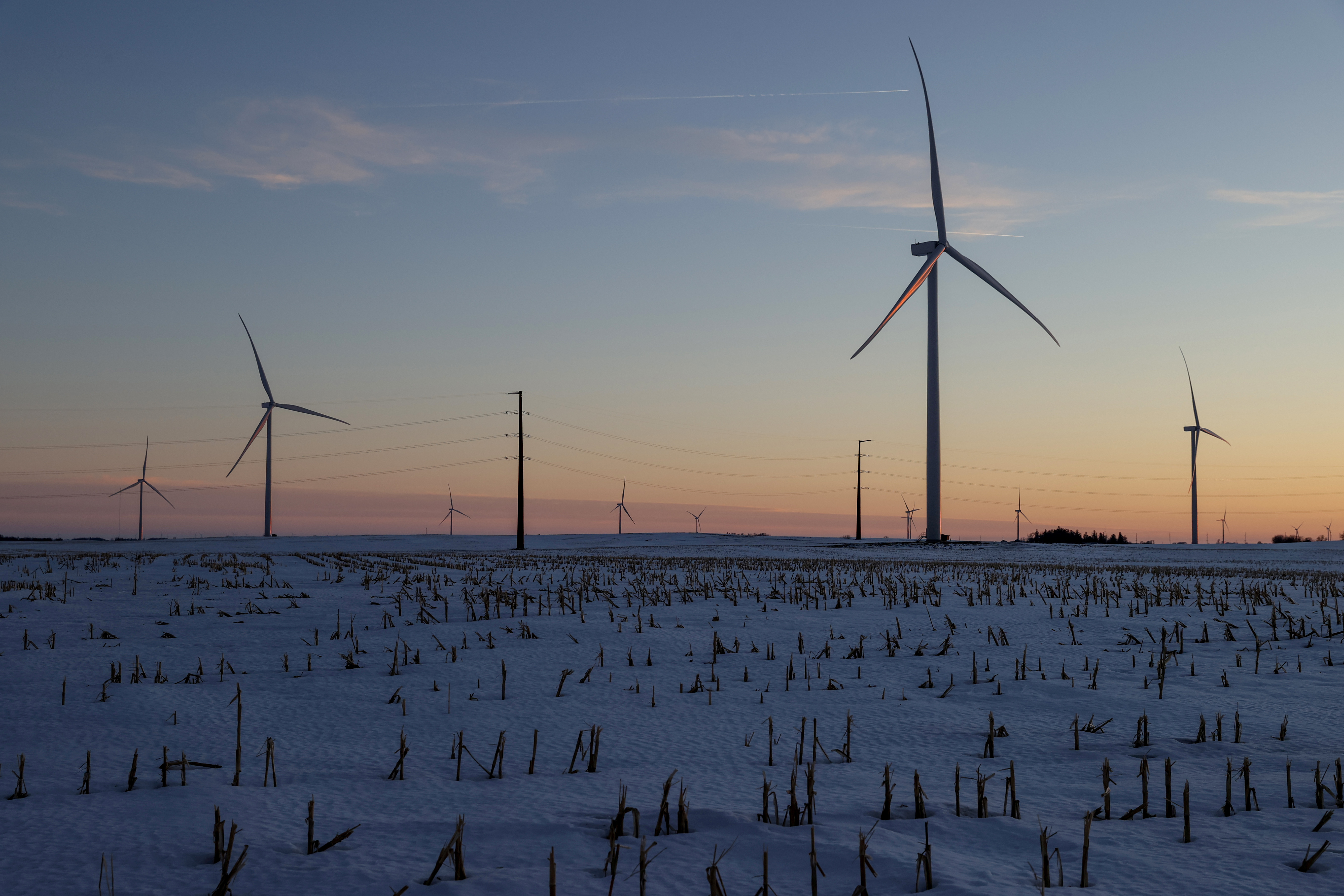 A wind farm shares space with corn fields the day before the Iowa caucuses, where agriculture and clean energy are key issues, in Latimer, Iowa, U.S. February 2, 2020. REUTERS/Jonathan Ernst/File Photo