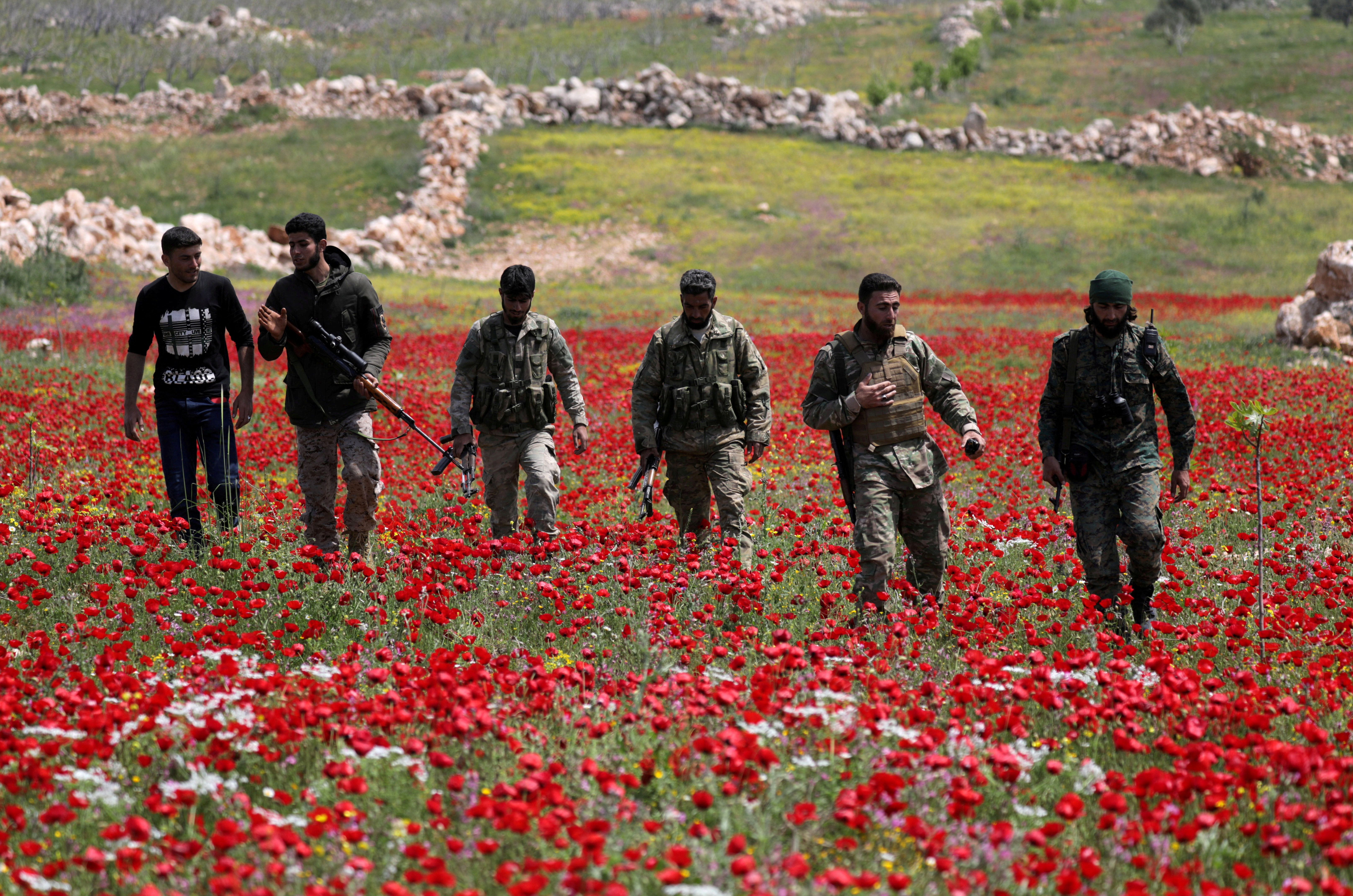 Turkey-backed Syrian rebel fighters walk in a field of flowers in Jabal al-Zawiya