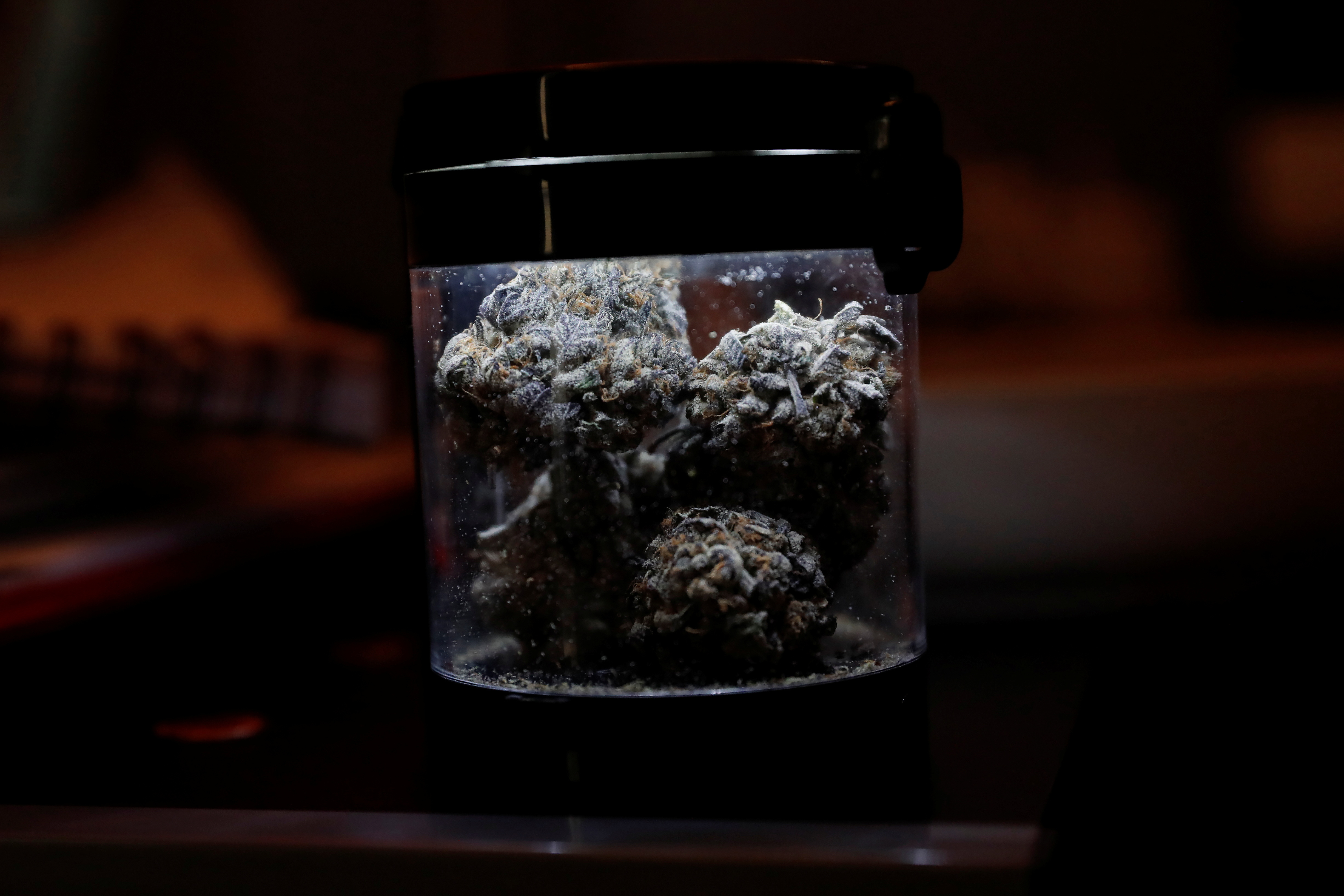 Hybrid strains of cannabis are pictured in a jar at a home in New York in this illustration picture