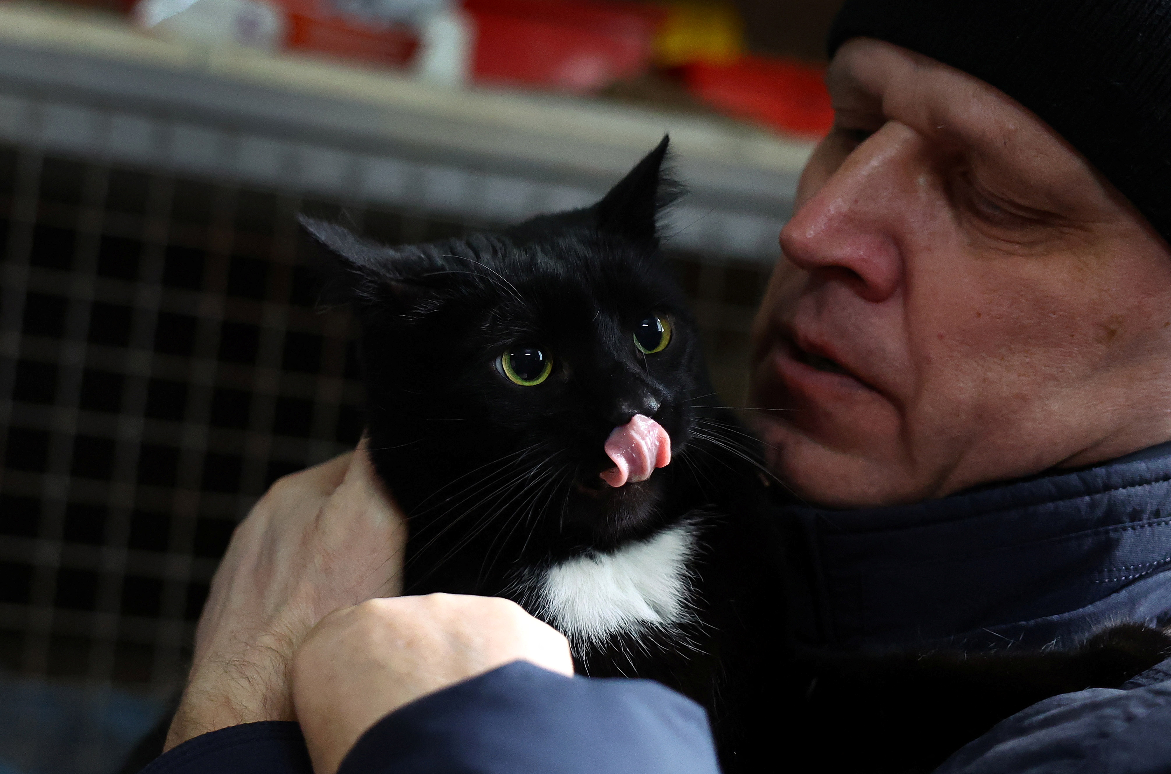 Animals are rescued from Ukraine following the Russian invasion, in Lviv