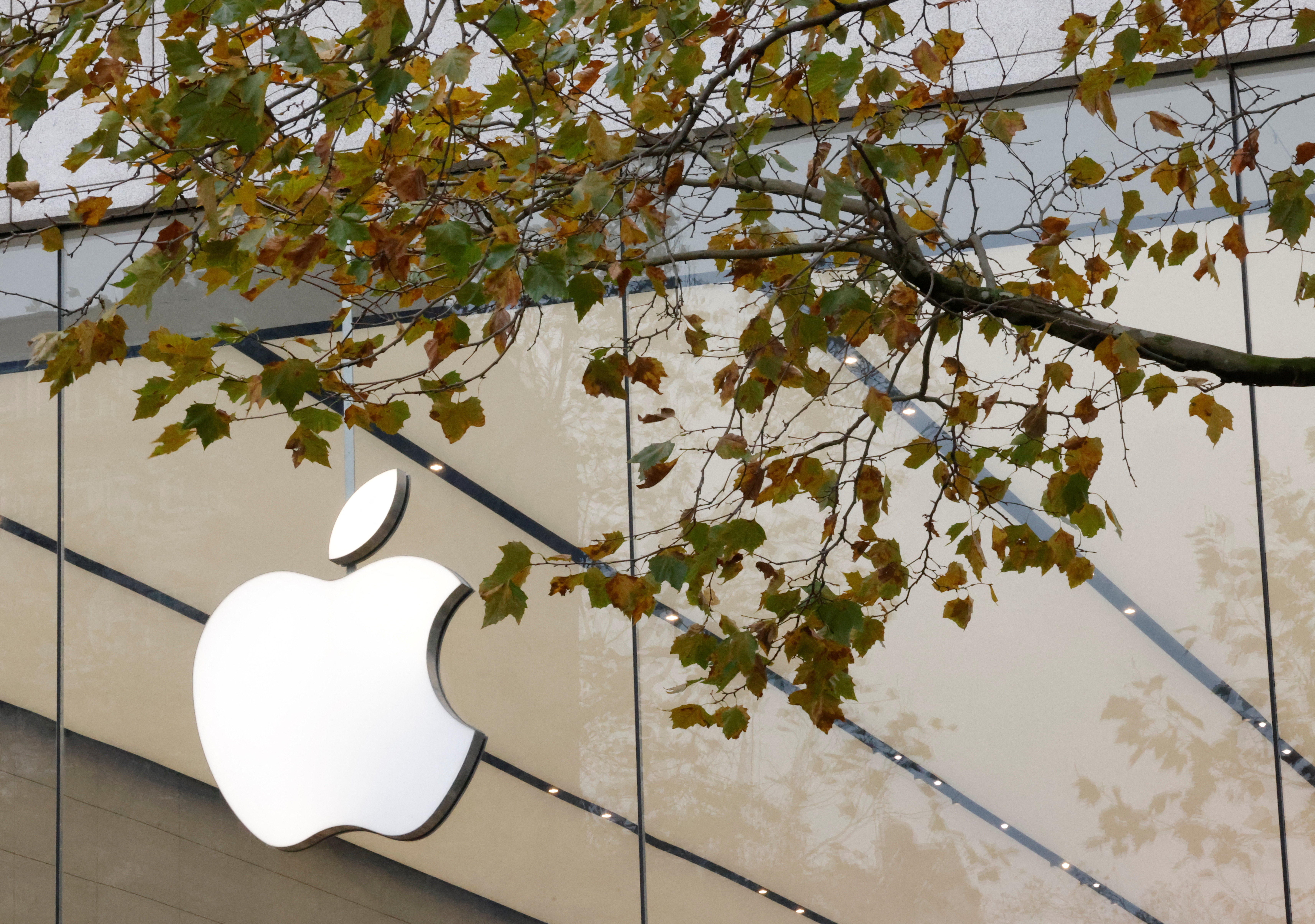 The Apple Inc logo is seen at the entrance to the Apple store, in Brussels