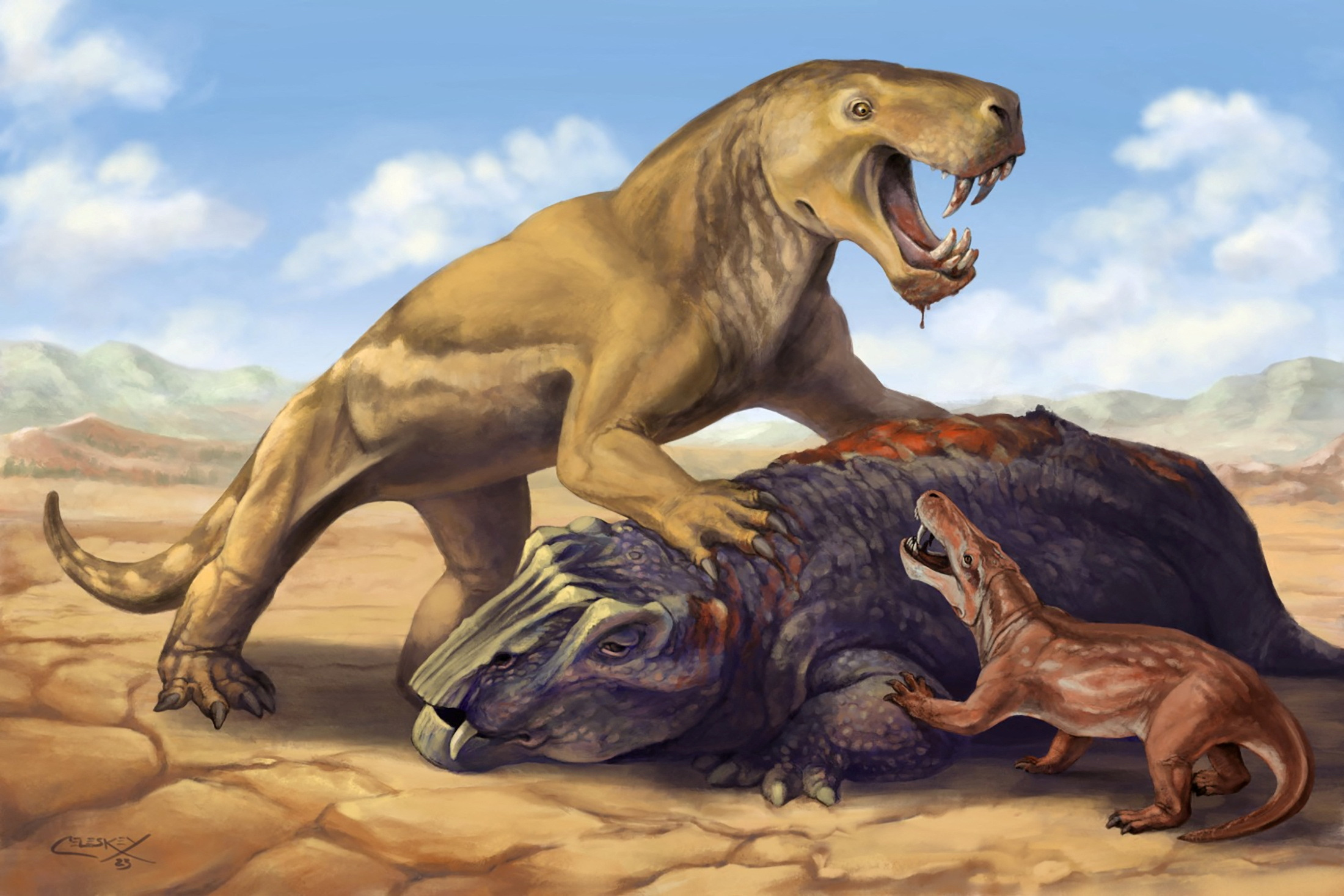 Illustration shows the Permian Period tiger-sized saber-toothed protomammal Inostrancevia atop its dicynodont prey