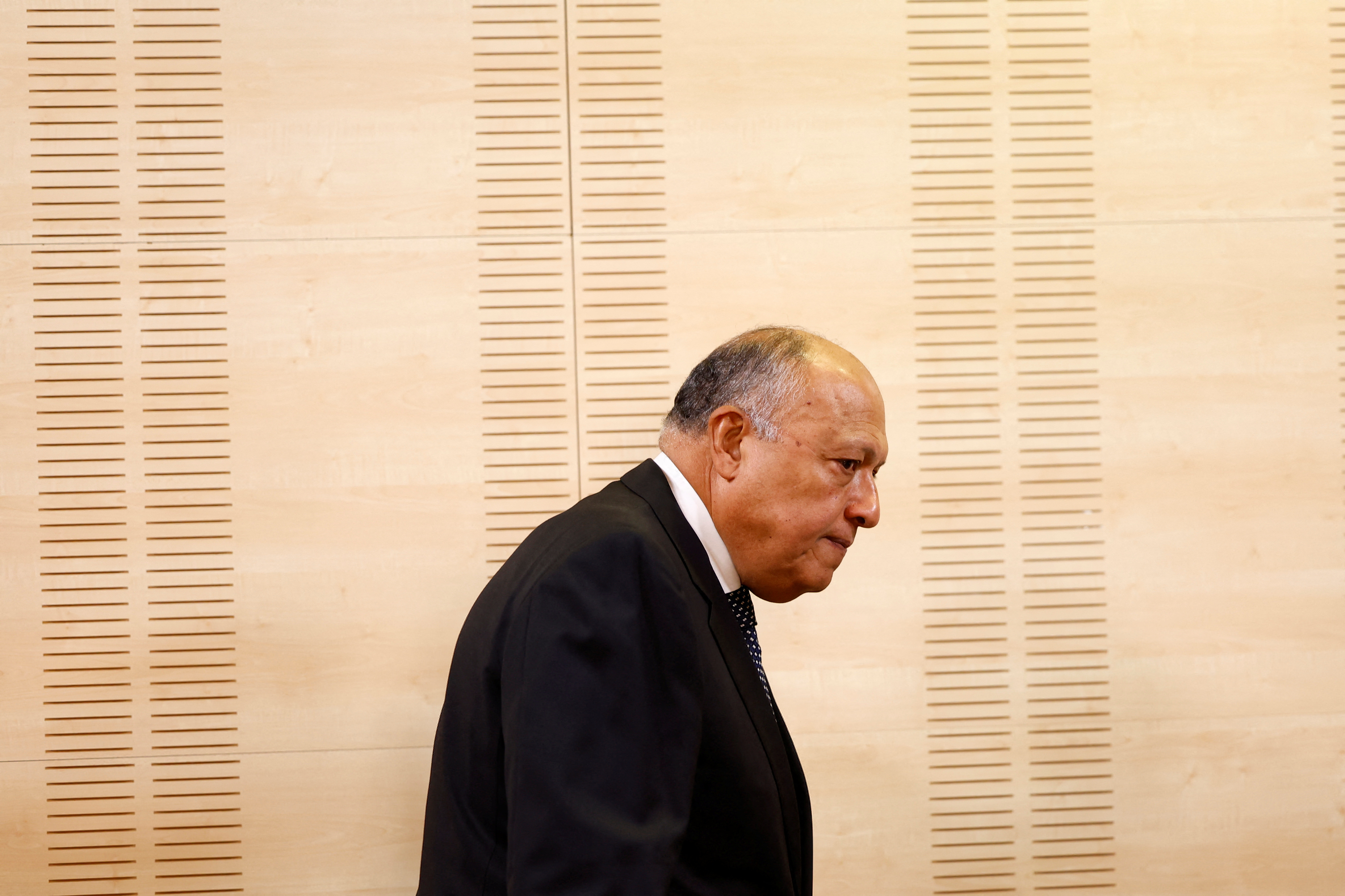Spanish FM Albares and Egyptian counterpart Shoukry hold joint press conference in Madrid