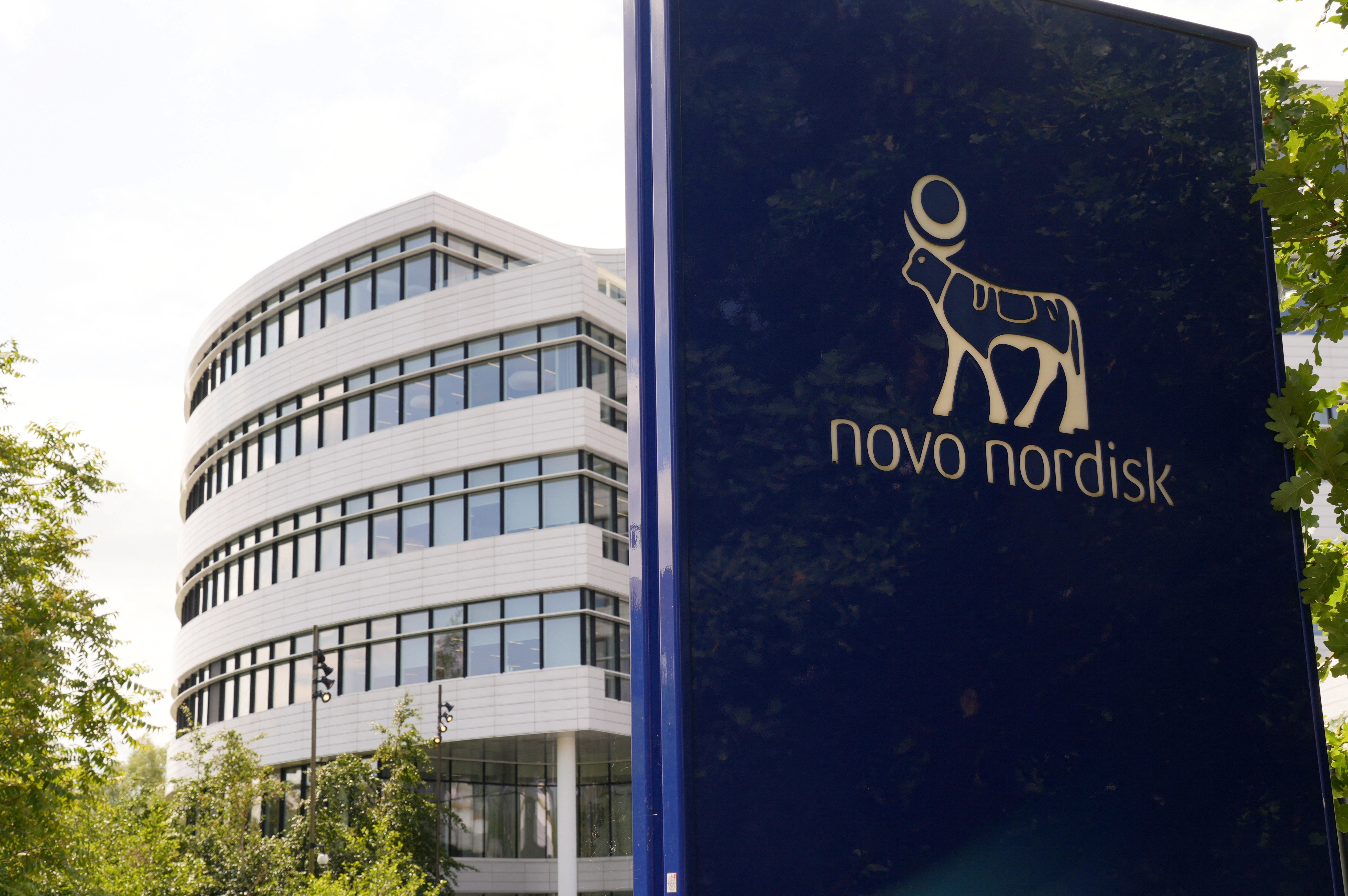 🌍STOCK REPORT:  "Novo Nordisk: Crollo delle Azioni del 20% e Cambio al Vertice, Riviste le Previsioni di Profitto"