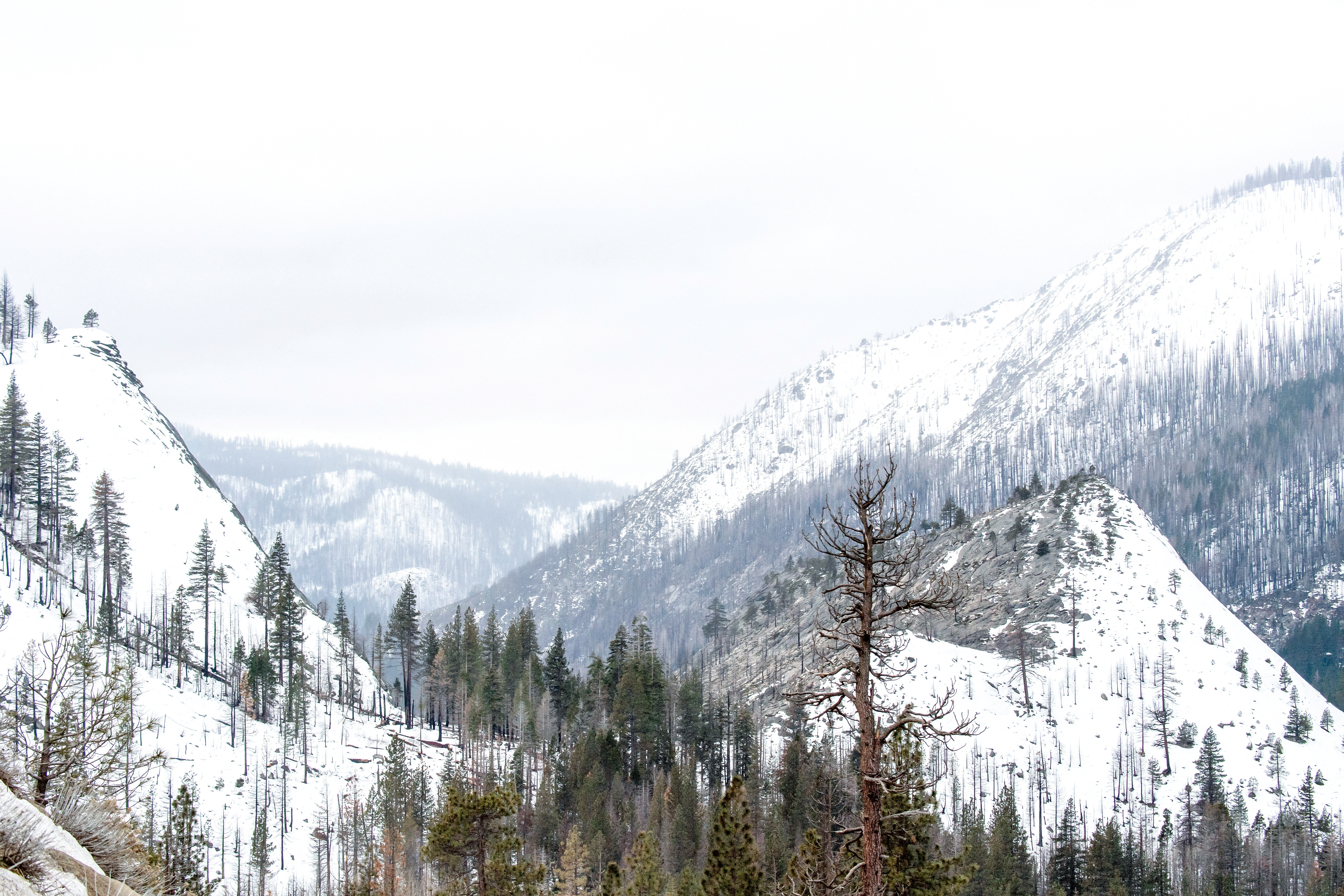 California's Sierra Nevada mountains could see 12 feet of snow