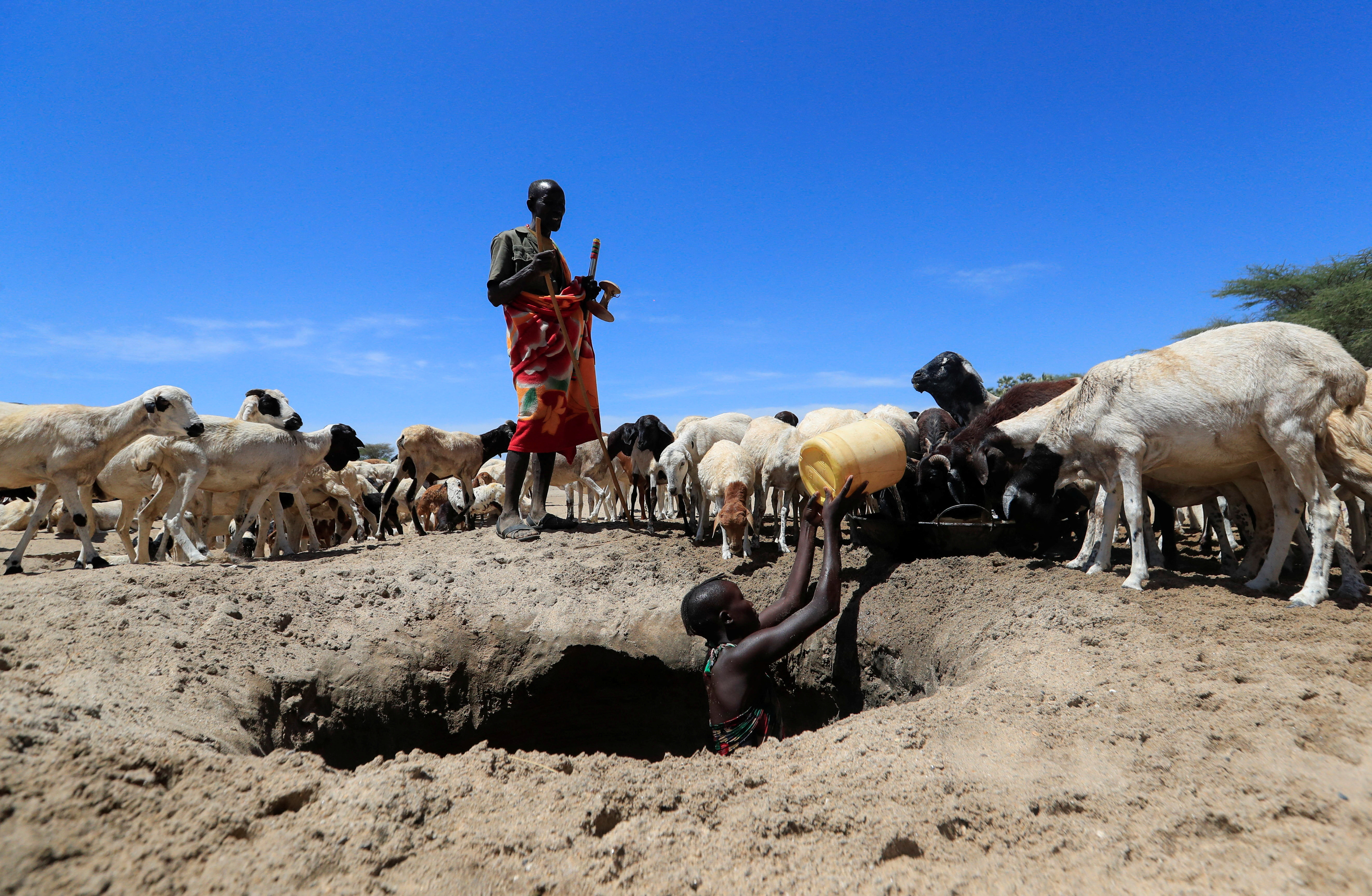 Loudi Lokoriyeng' from the Turkana pastoralist community affected by the worsening drought due to failed rain seasons, watches while his goats drink water from an open well dug on a dry riverbed in Loyoro village of Kalokol in Turkana