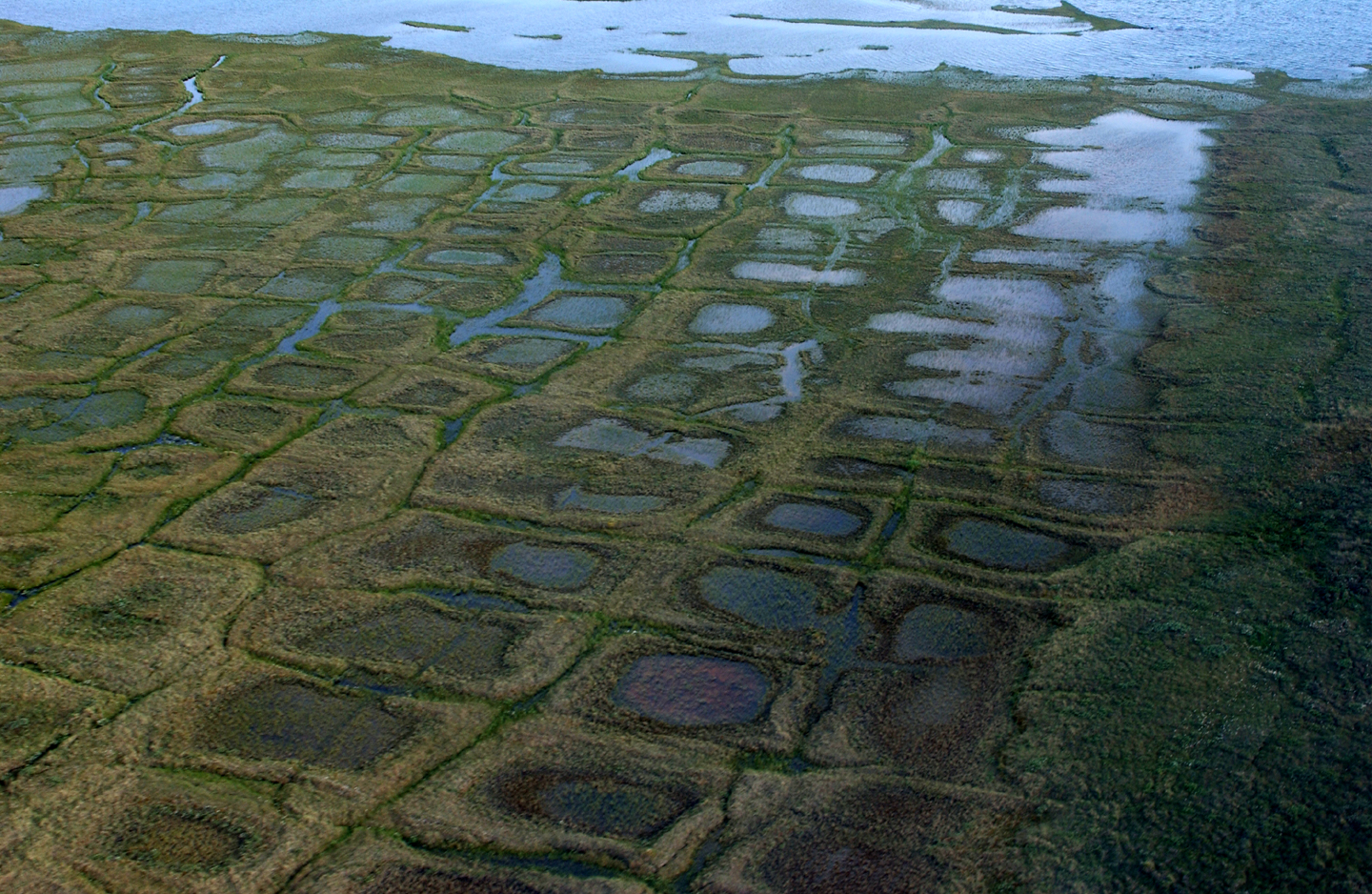 Permafrost forms a grid-like pattern in the National Petroleum Reserve-Alaska, a 22.8 million acre region managed by the Bureau of Land Management on Alaska's North Slope in this undated handout image. USGS/David W Houseknecht
/Handout via REUTERS