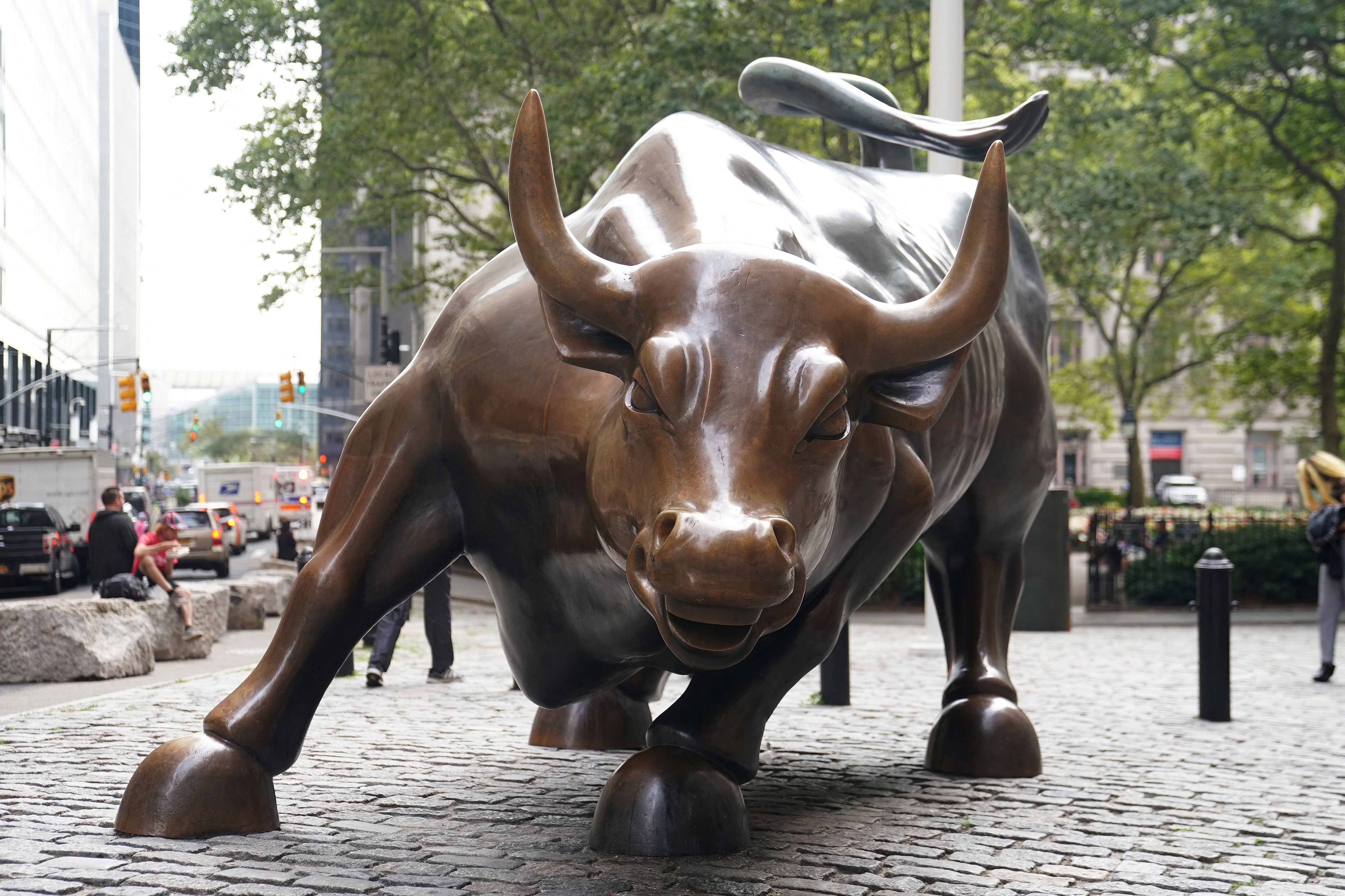 Free Stock Photo of Bull versus Bear | Bear vs bull, Stock market, Bull
