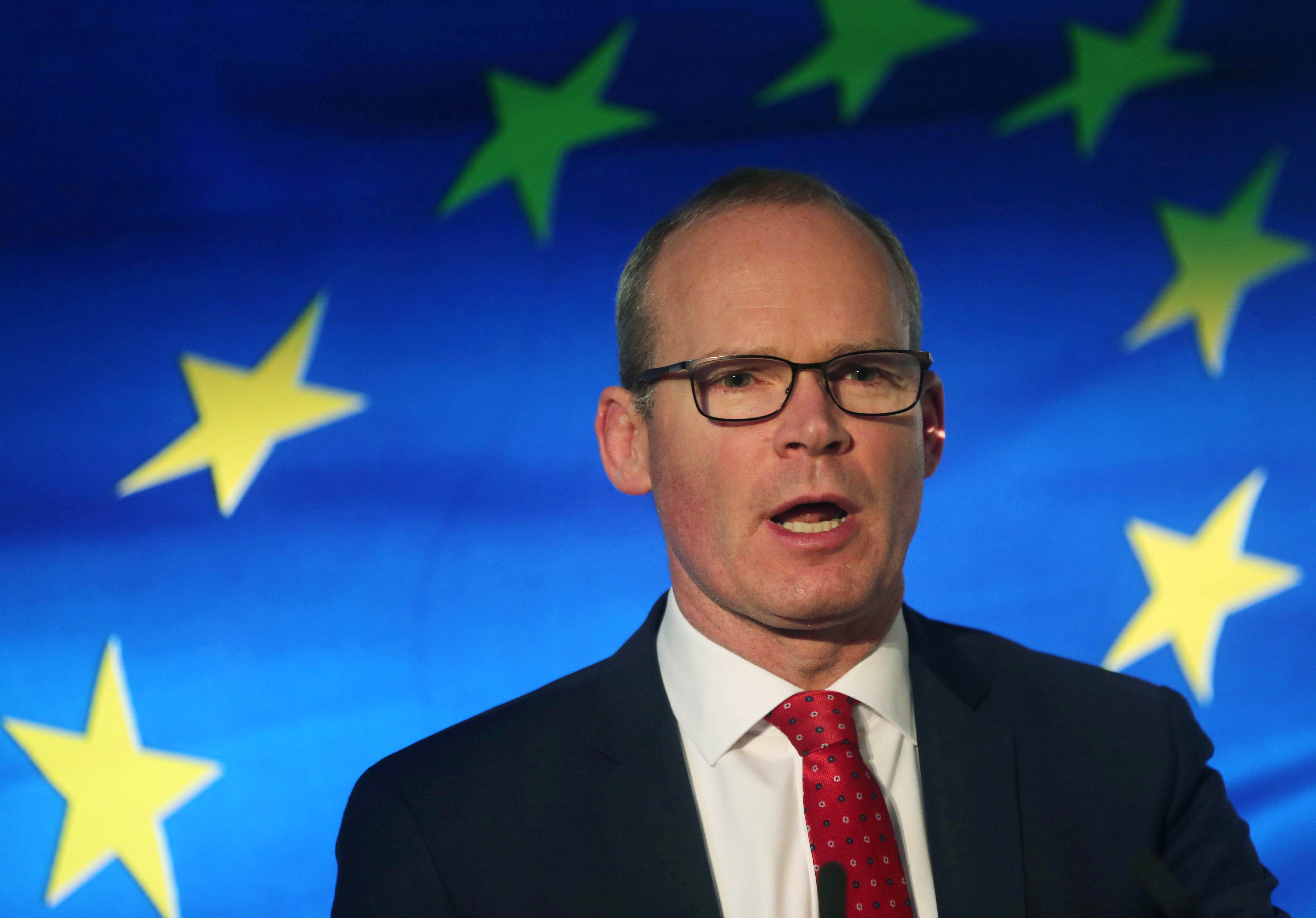 Irish Minister for Foreign Affairs Coveney speaks at the launch of his party's manifesto for the Irish General Election in Dublin