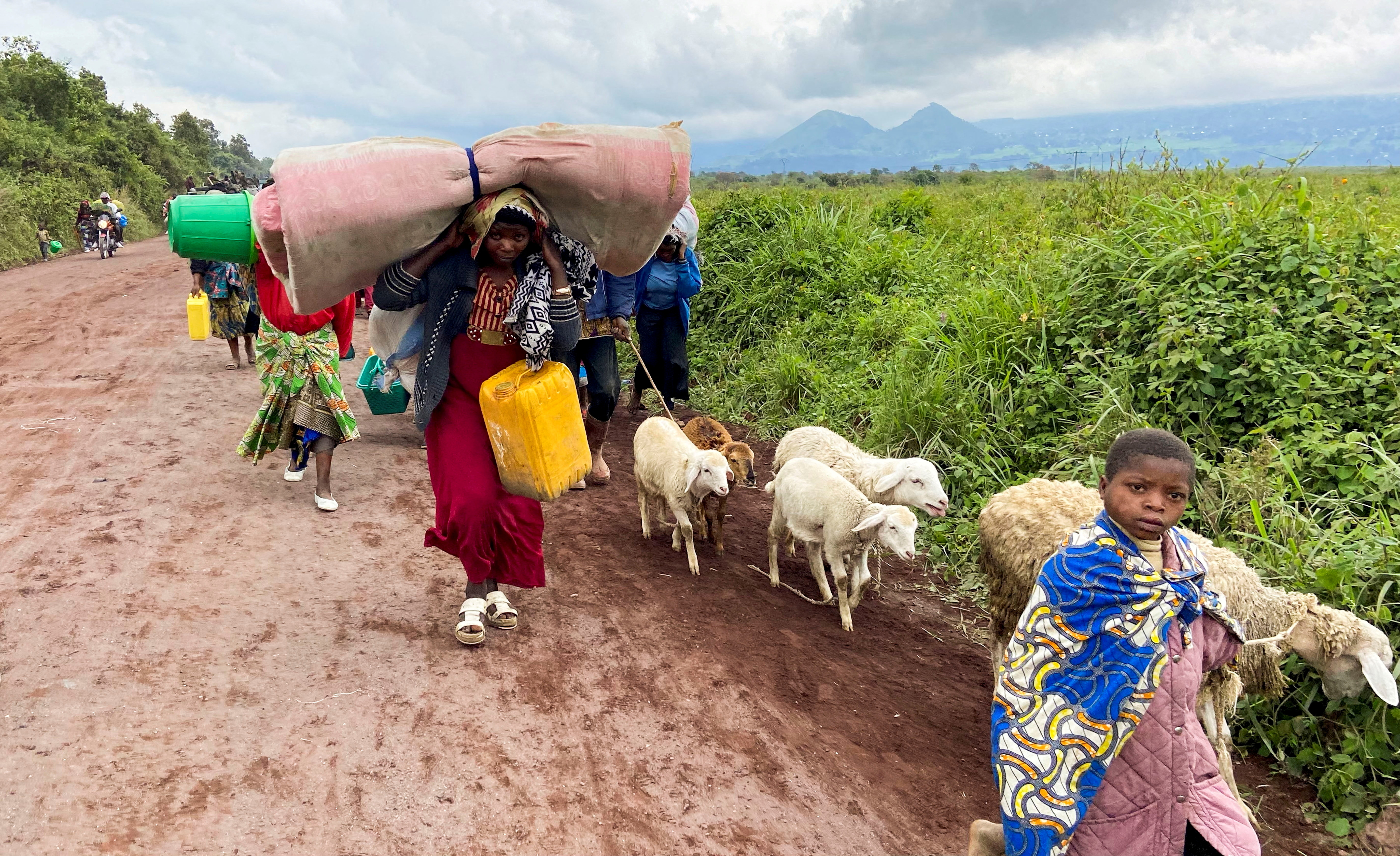 Congolese civilians and their animals flee near the Congolese border with Rwanda after fighting broke out outside Goma