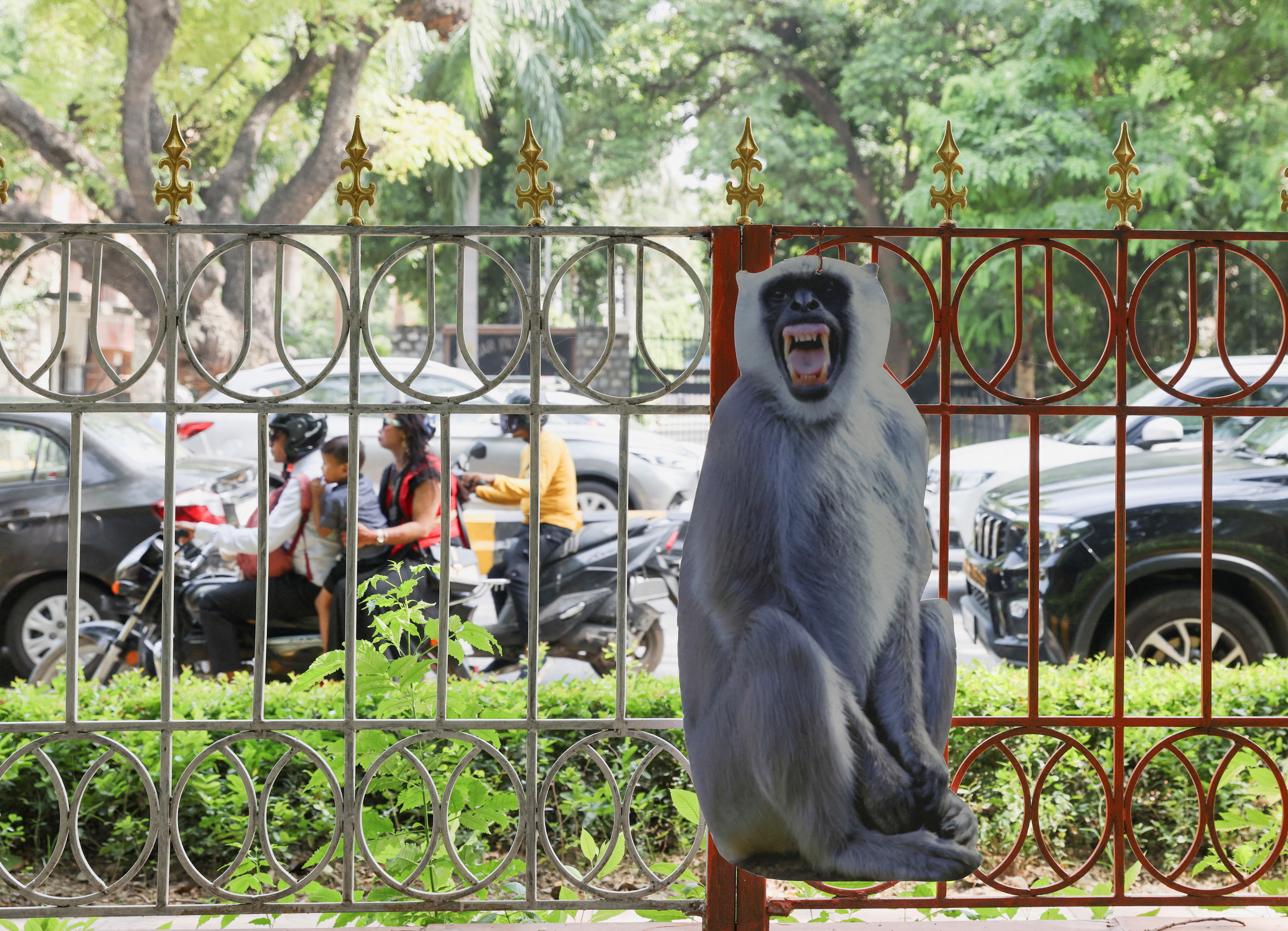 Performing monkey at the market