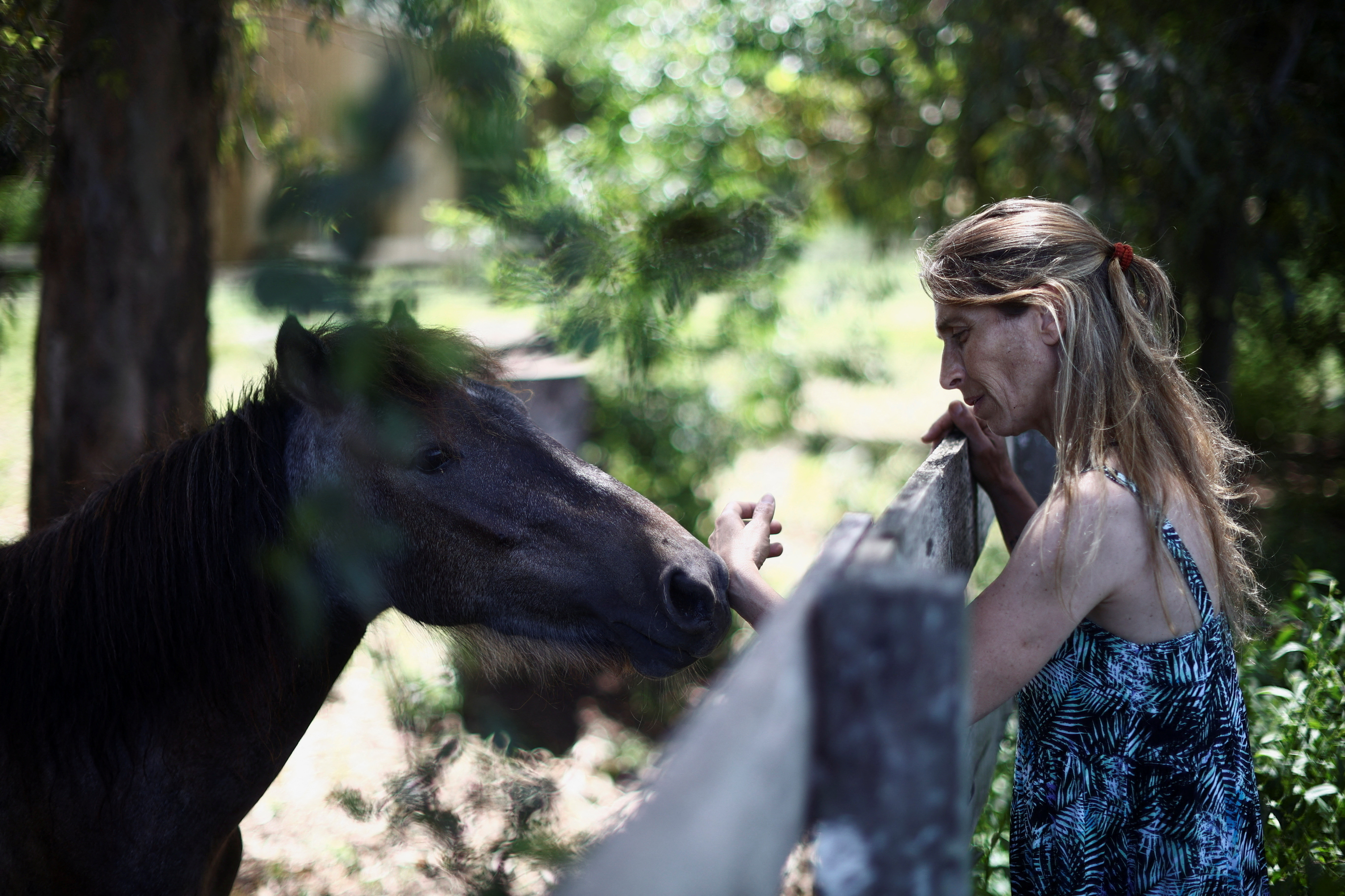 In Argentina, land of the gaucho, a home for unloved old horses