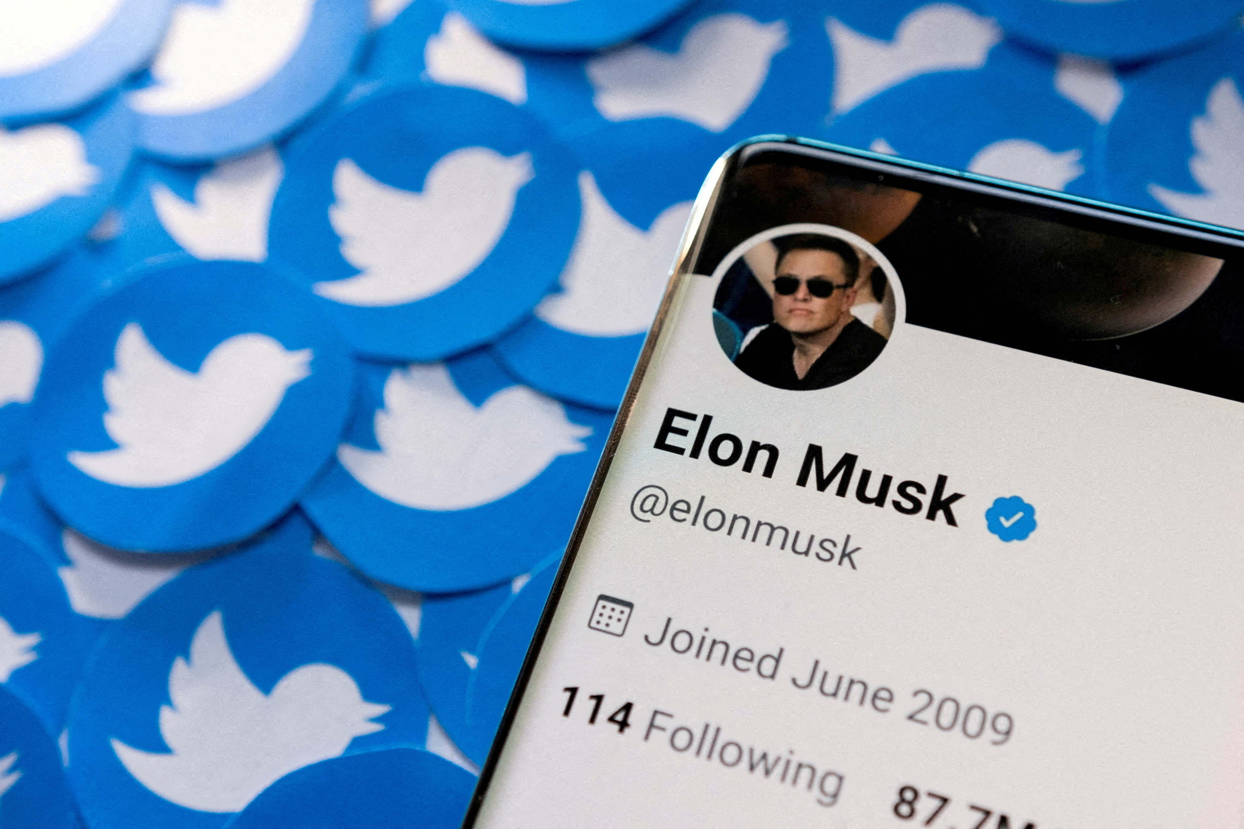 Elon Musk's Twitter profile 