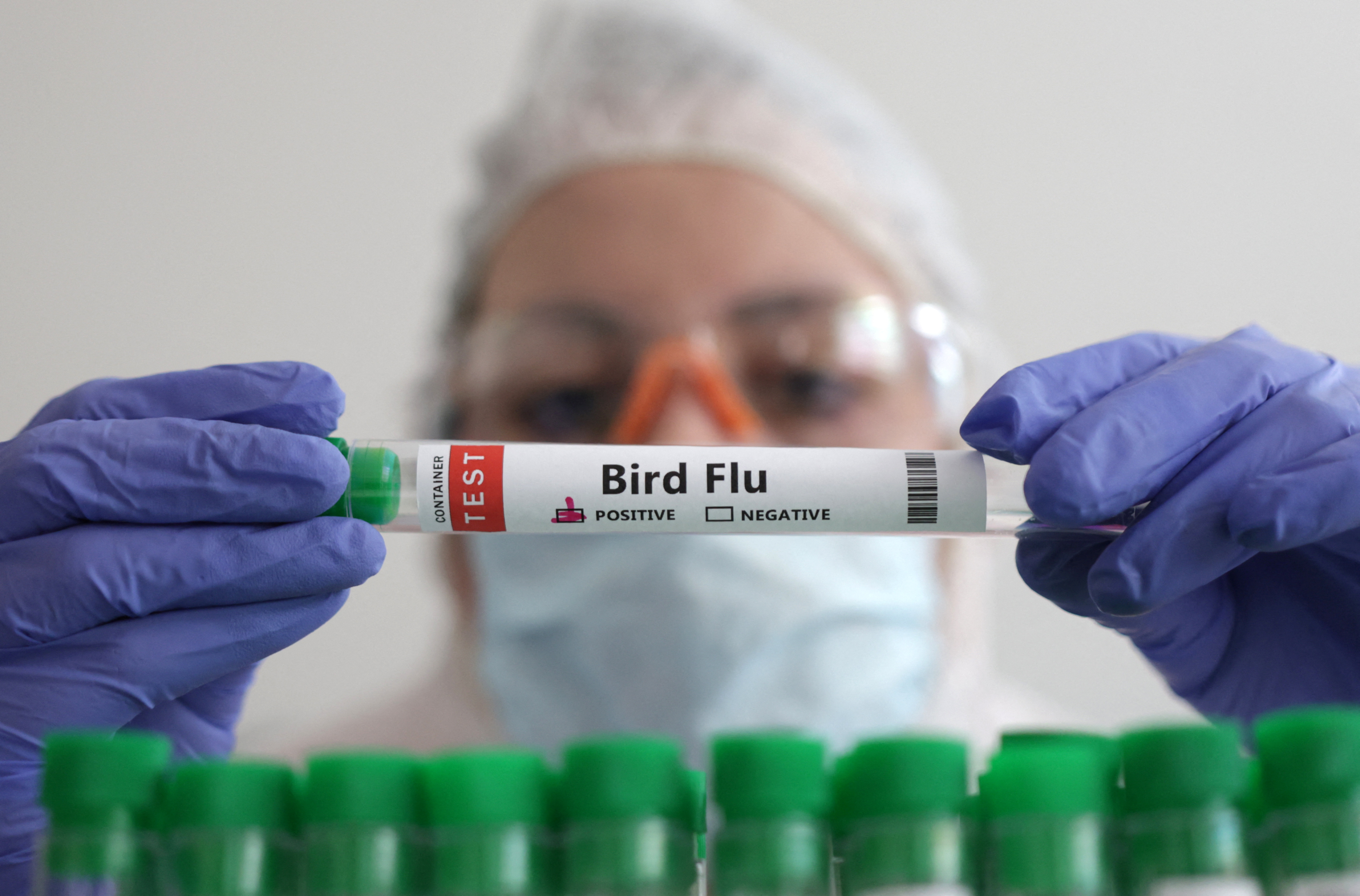 Illustration shows person holding test tube labelled "Bird Flu"