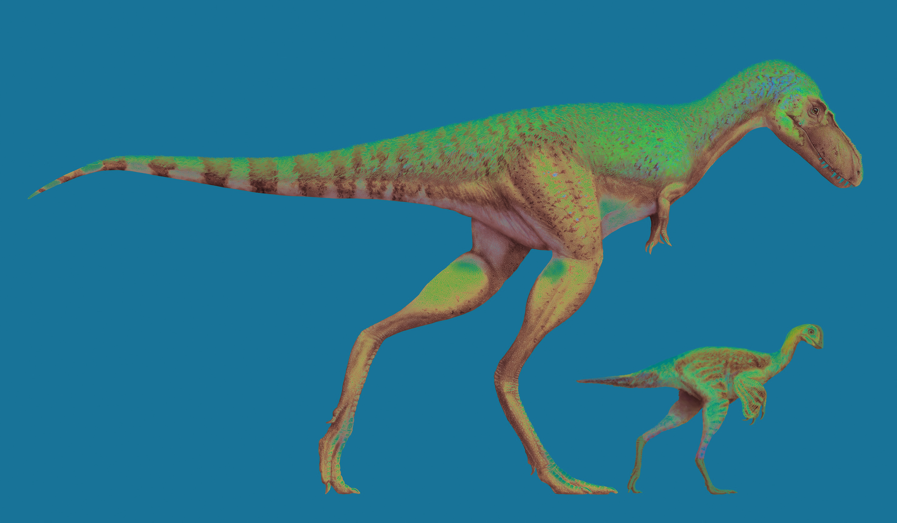 Why Dinosaurs Like T. Rex Evolved Tiny Little Arms - Science & Health 