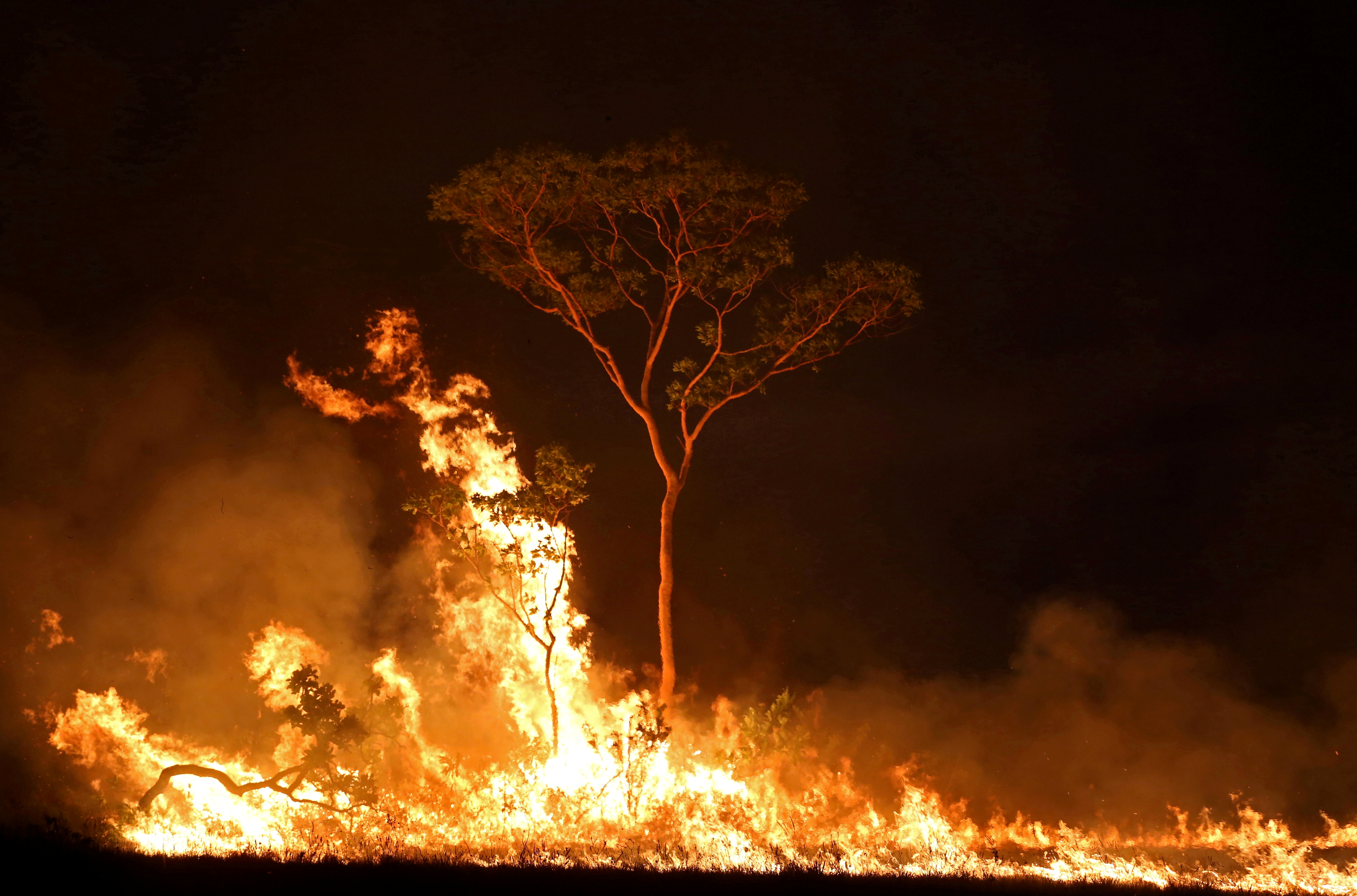 A fire is seen on a tract of Amazon jungle at Tenharim Marmelos Indigenous Land
