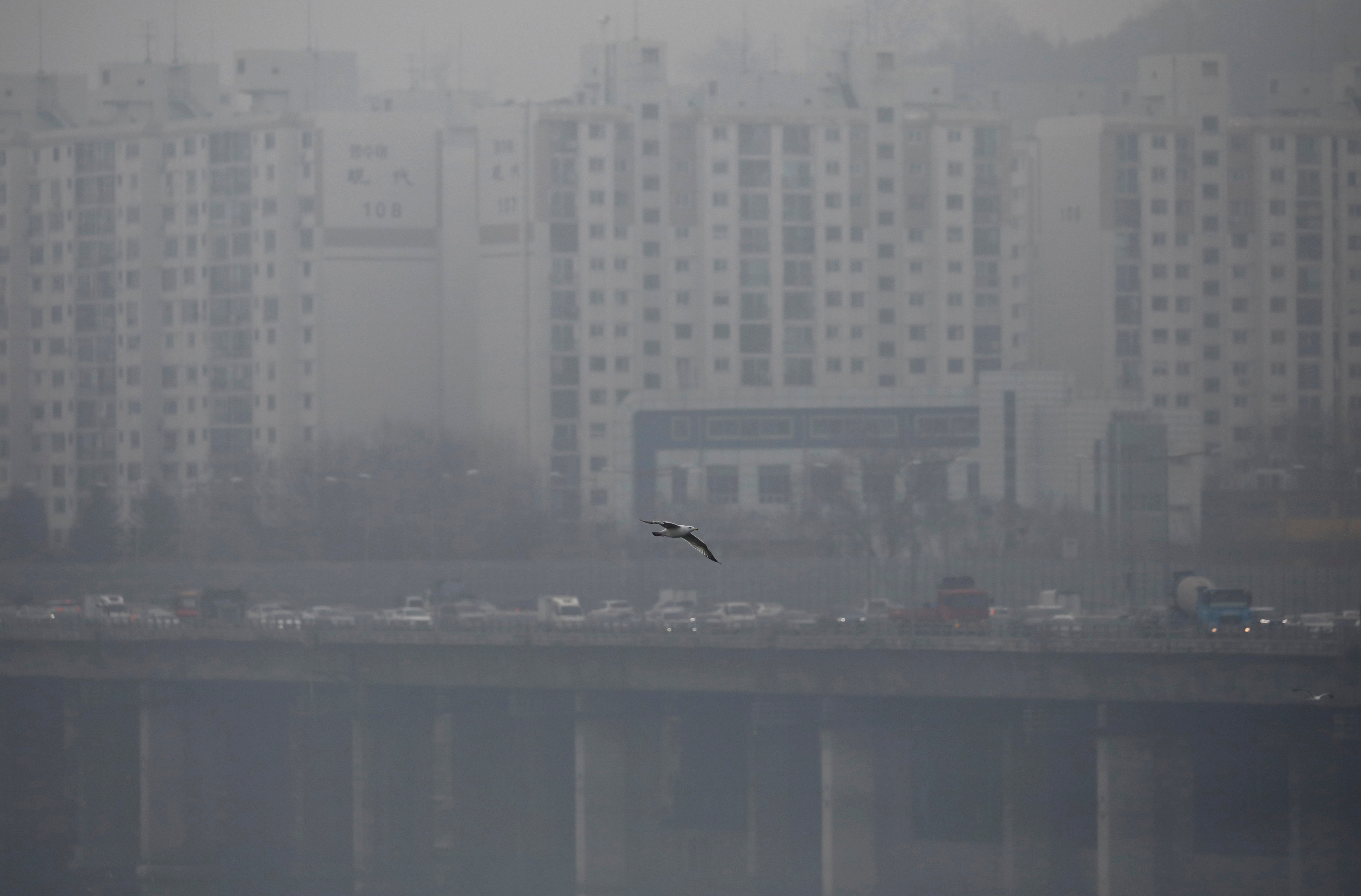 A bird flies on a polluted day in Seoul