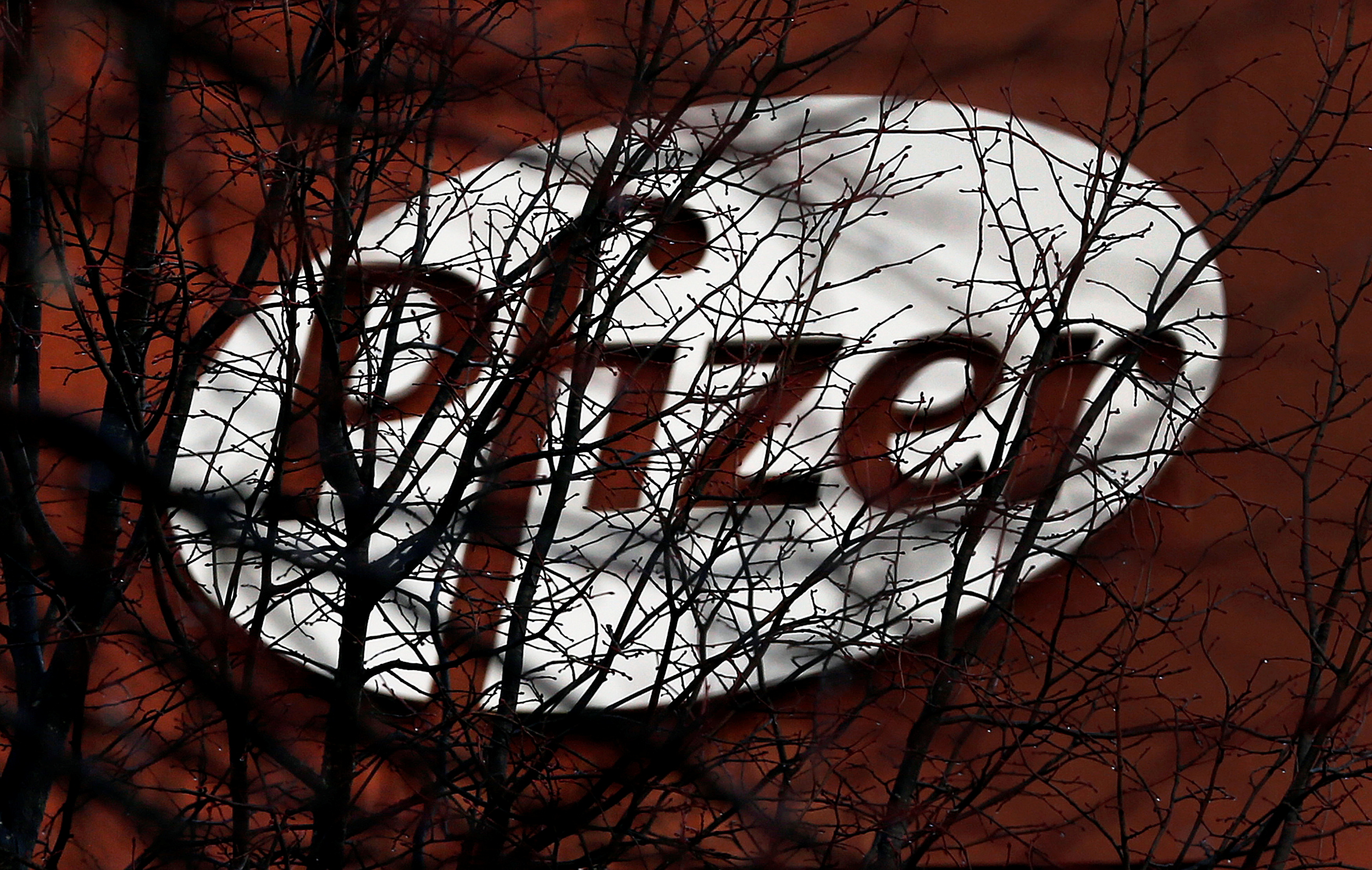 A company logo is seen through branches at a Pfizer office in Dublin