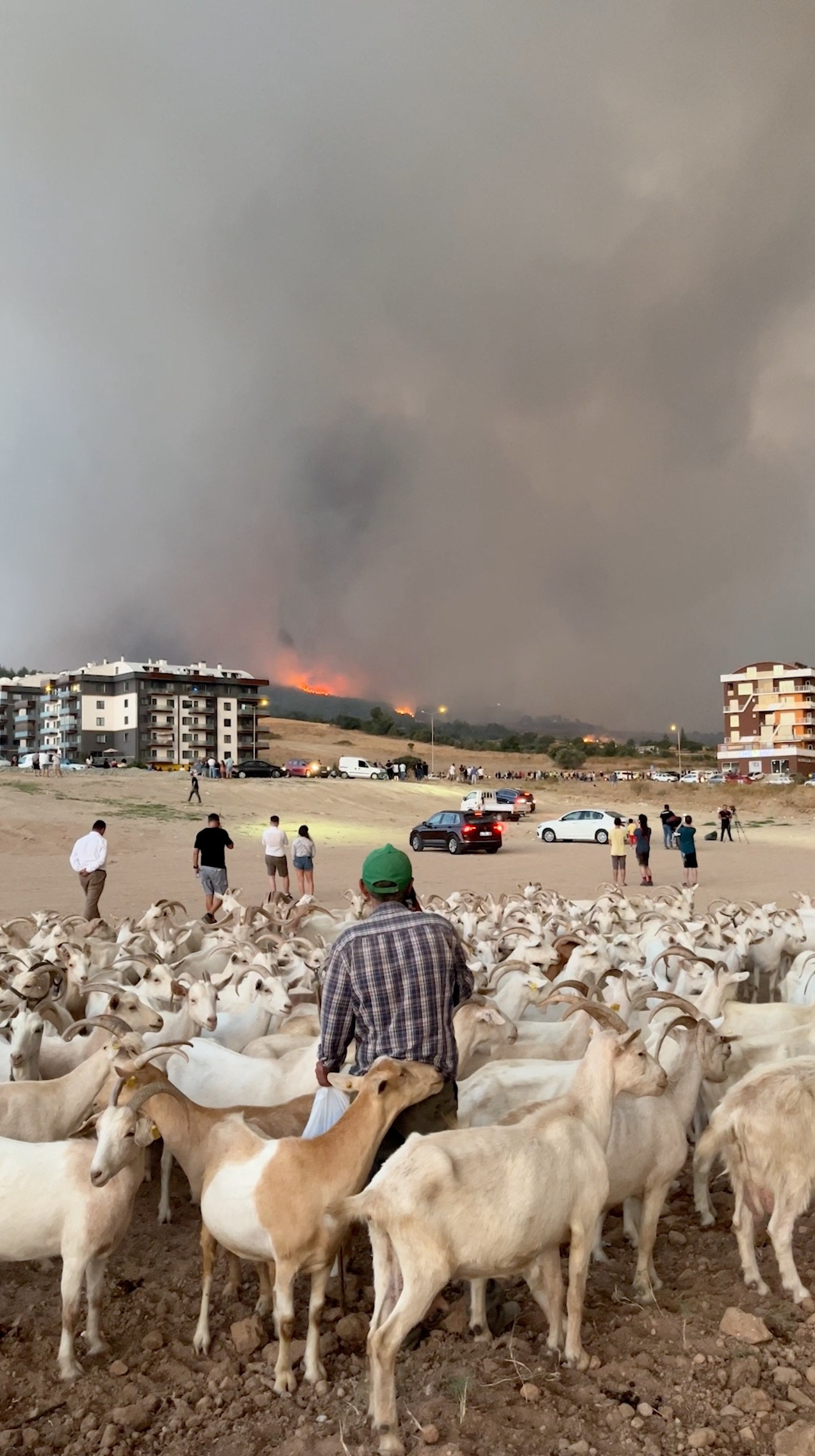 People watch from a distance as smoke billows from a wildfire in the background, in Canakkale