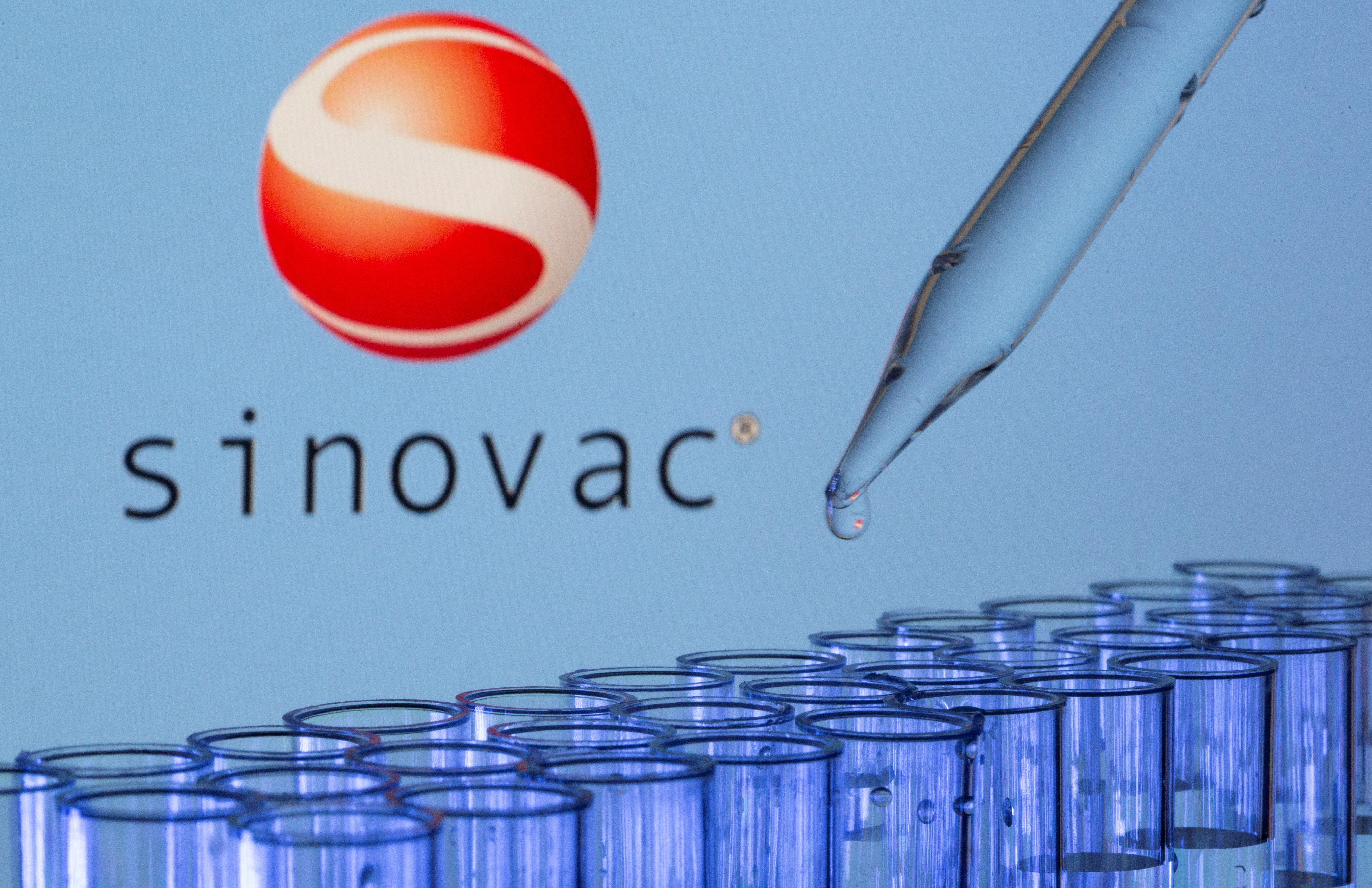 Test tubes are seen in front of a displayed Sinovac logo in this illustration taken