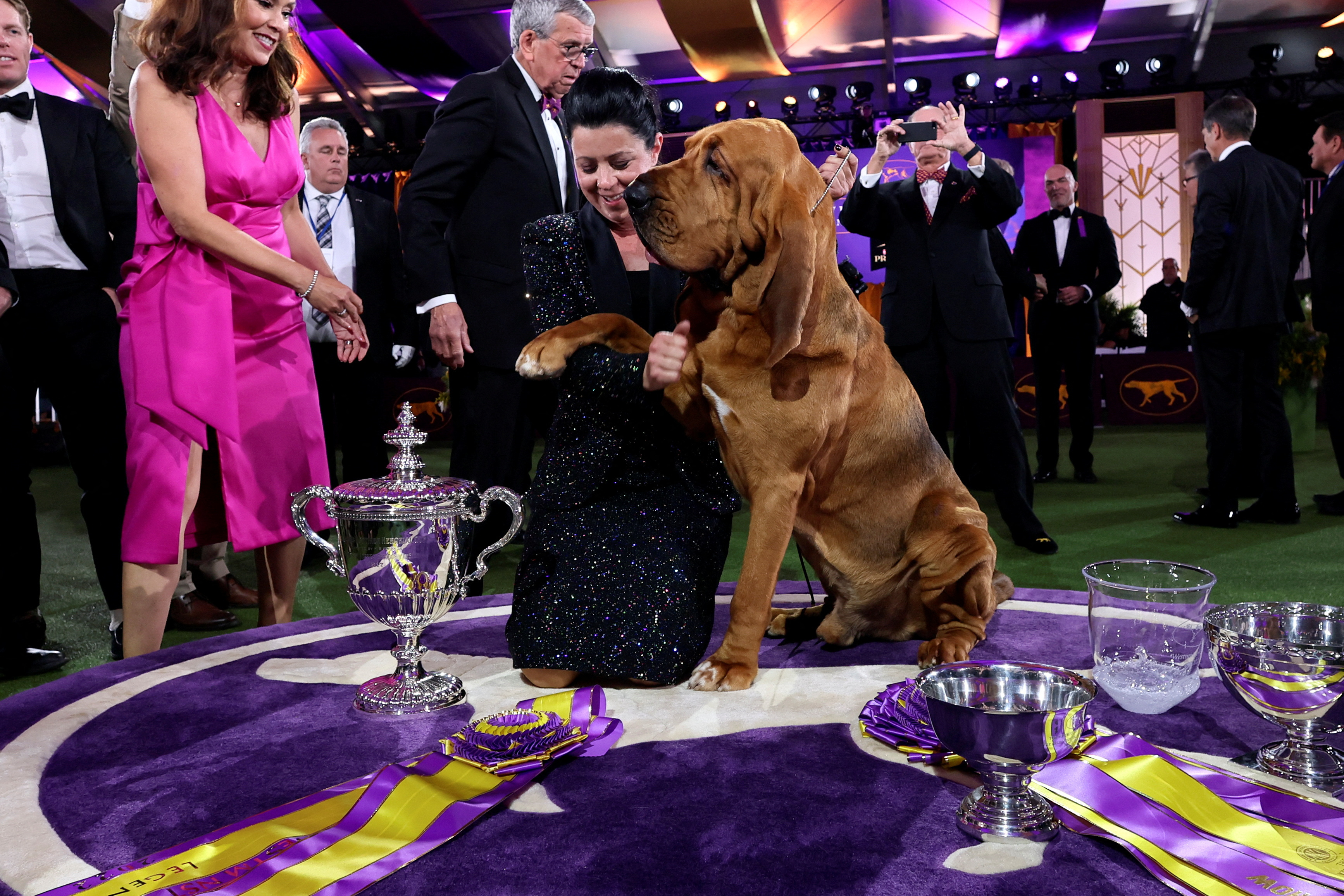 146th Westminster Kennel Club Dog Show in Tarrytown, New York