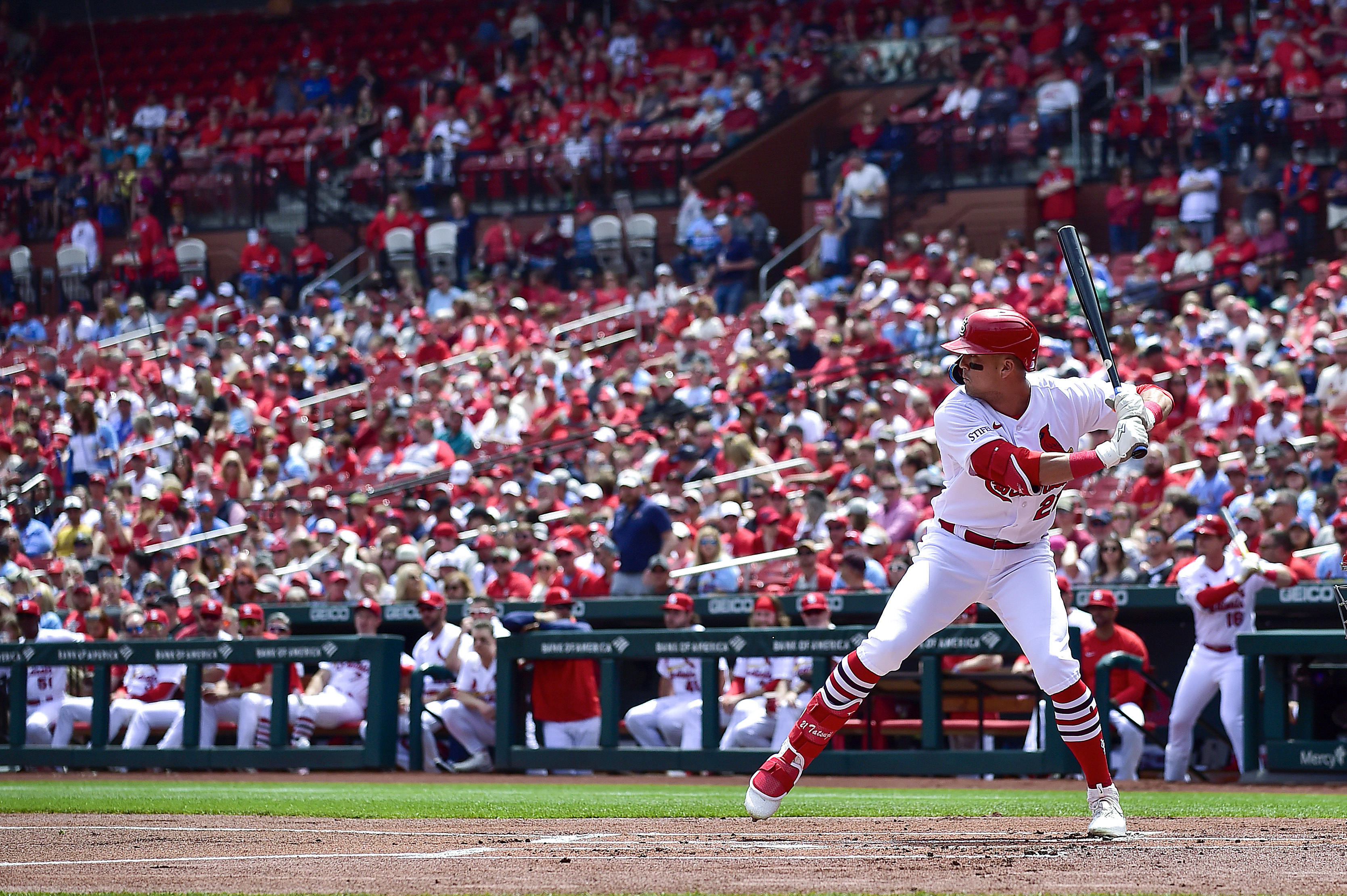 MLB: St. Louis Cardinals at Los Angeles Angels  St louis cardinals  baseball, St louis baseball, Cardinals baseball