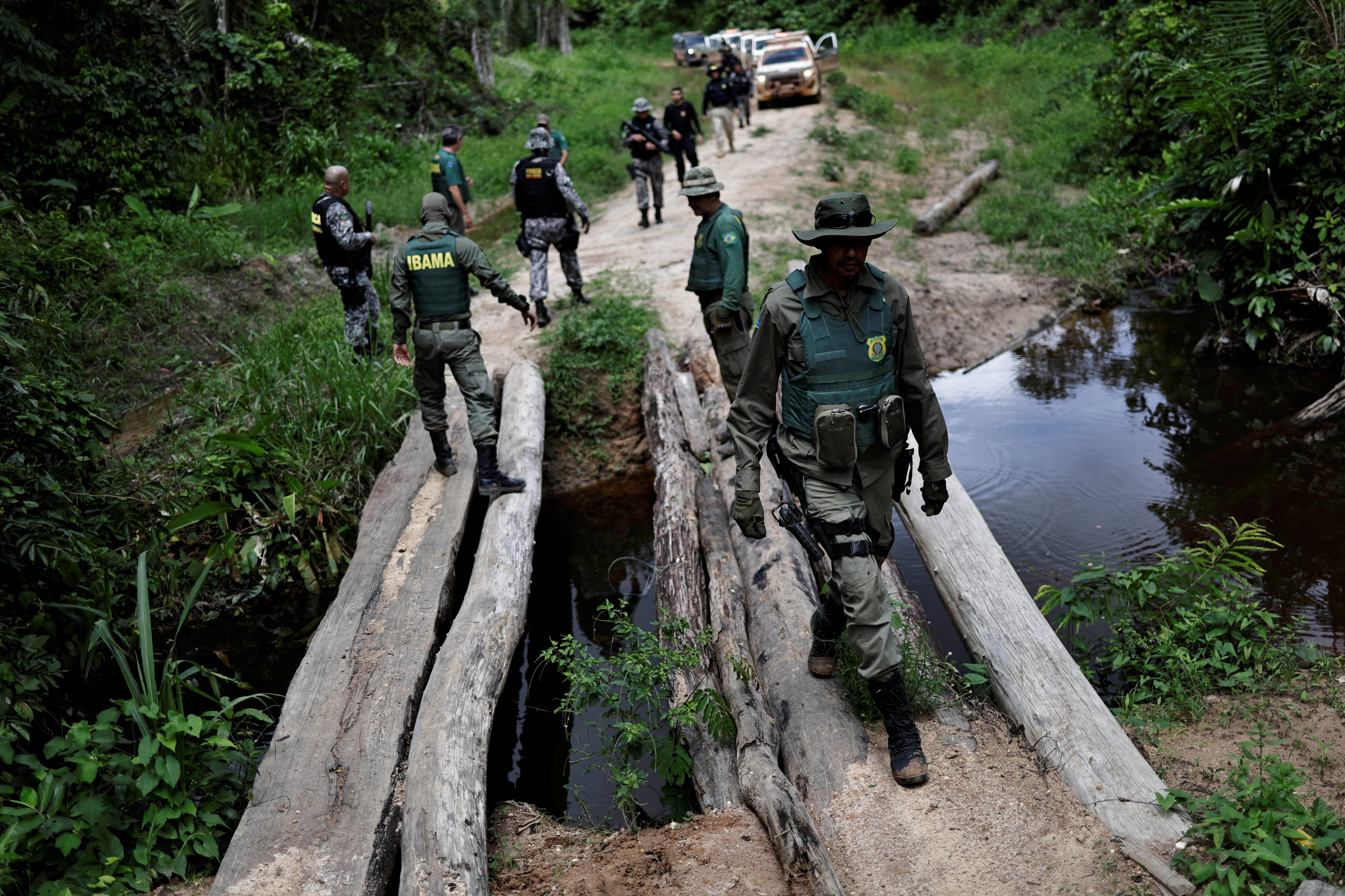 94% of deforestation in Brazilian  is illegal as government remains  absent - Latin America Reports