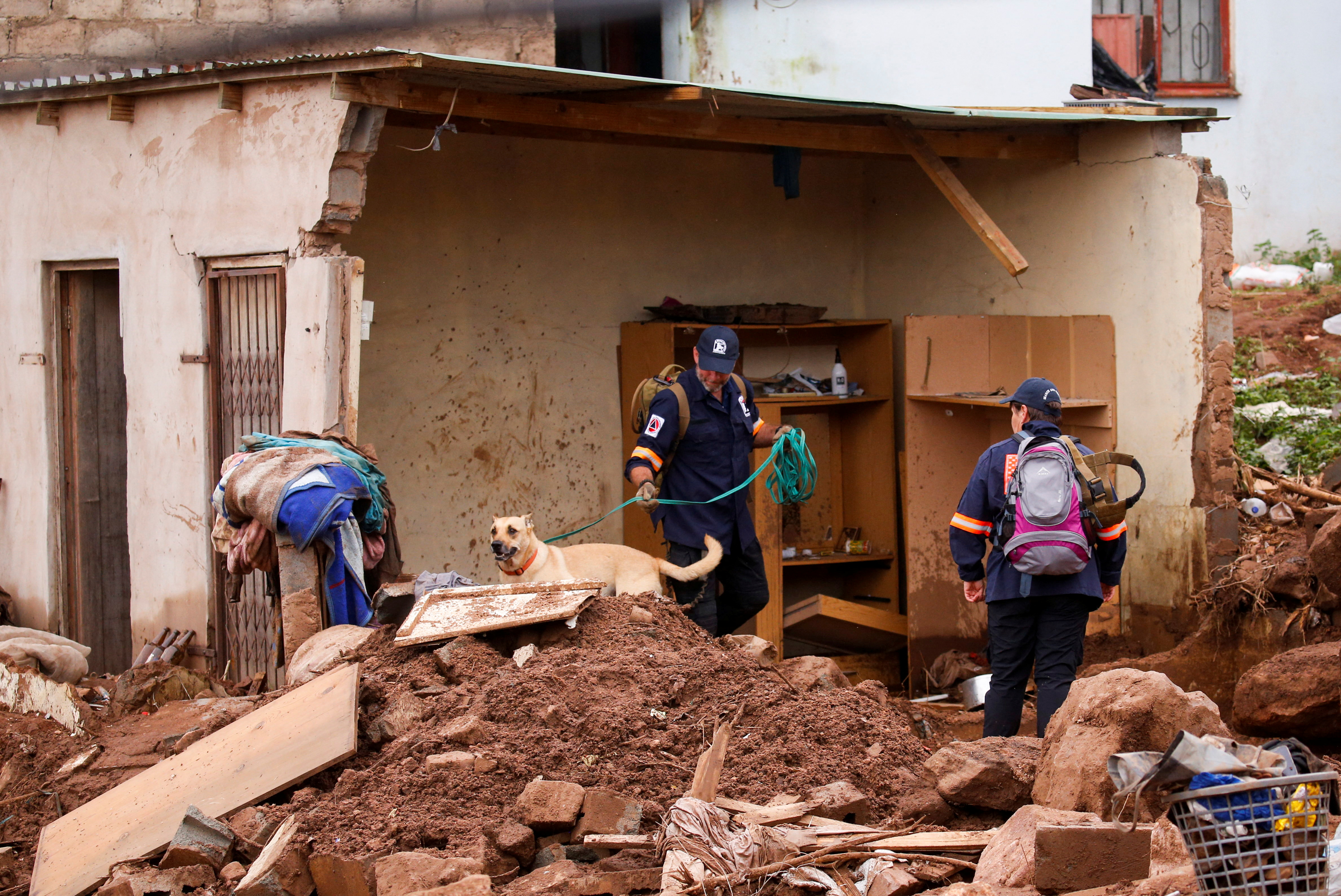 A search and rescue team use a dog to search for bodies in Dassenhoek near Durban