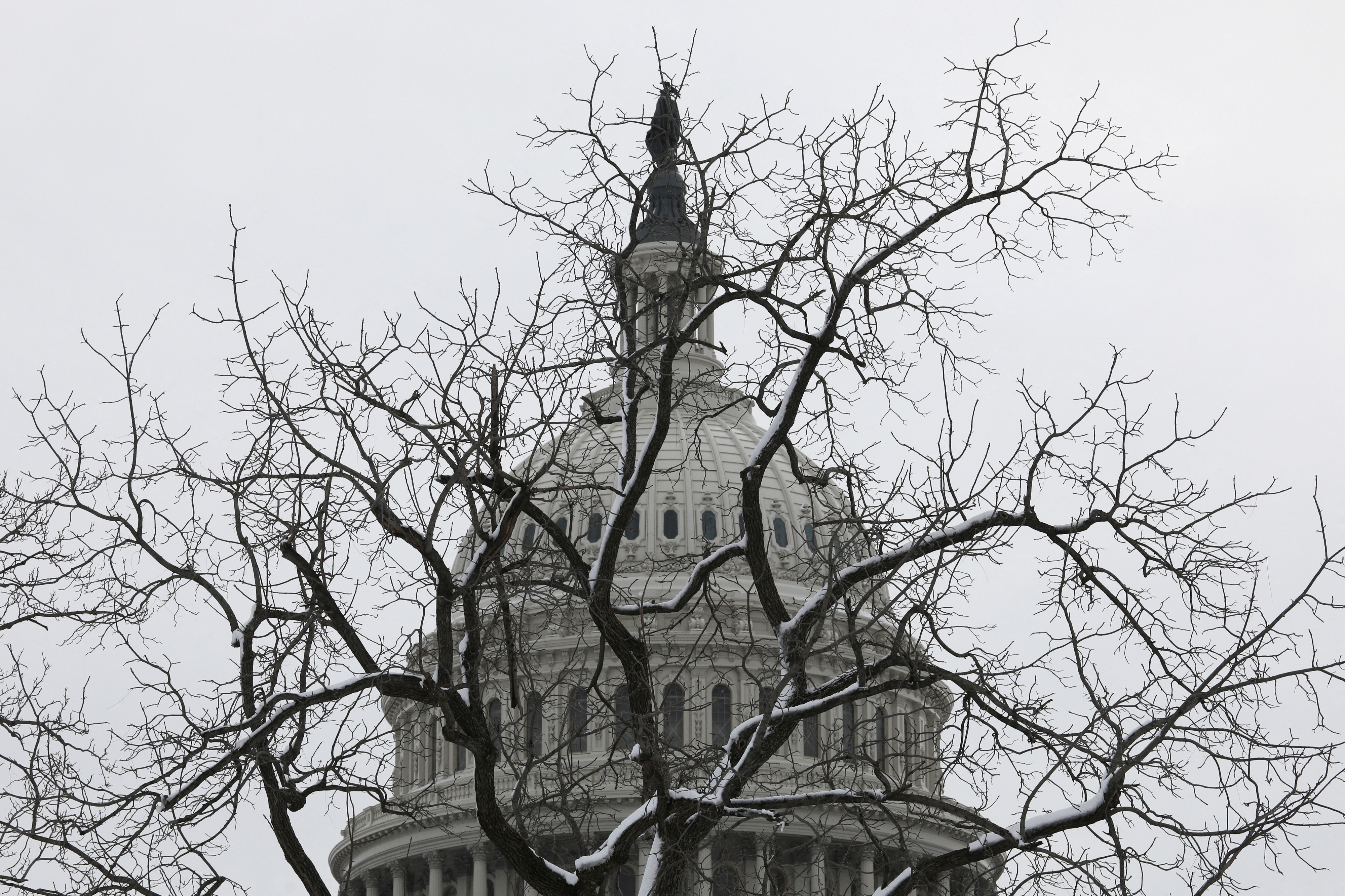 The Capitol Building is seen before a snow-covered tree on the eve of the first anniversary of the January 6, 2021 attack on the U.S. Capitol