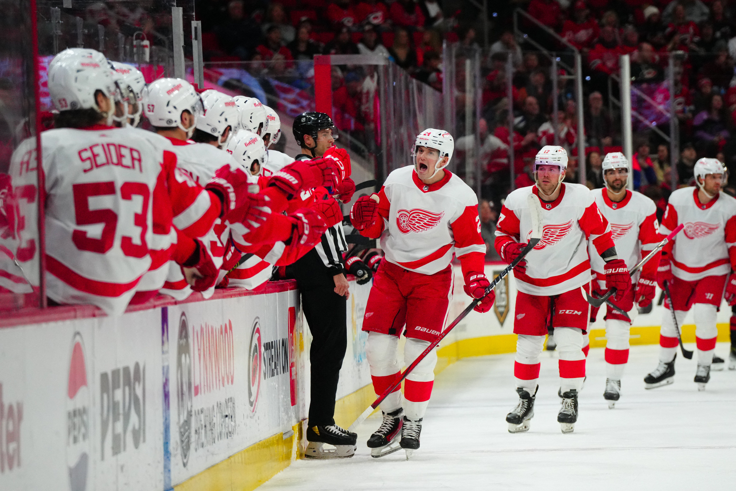 Martin Necas helps Hurricanes end Wings' point streak | Reuters