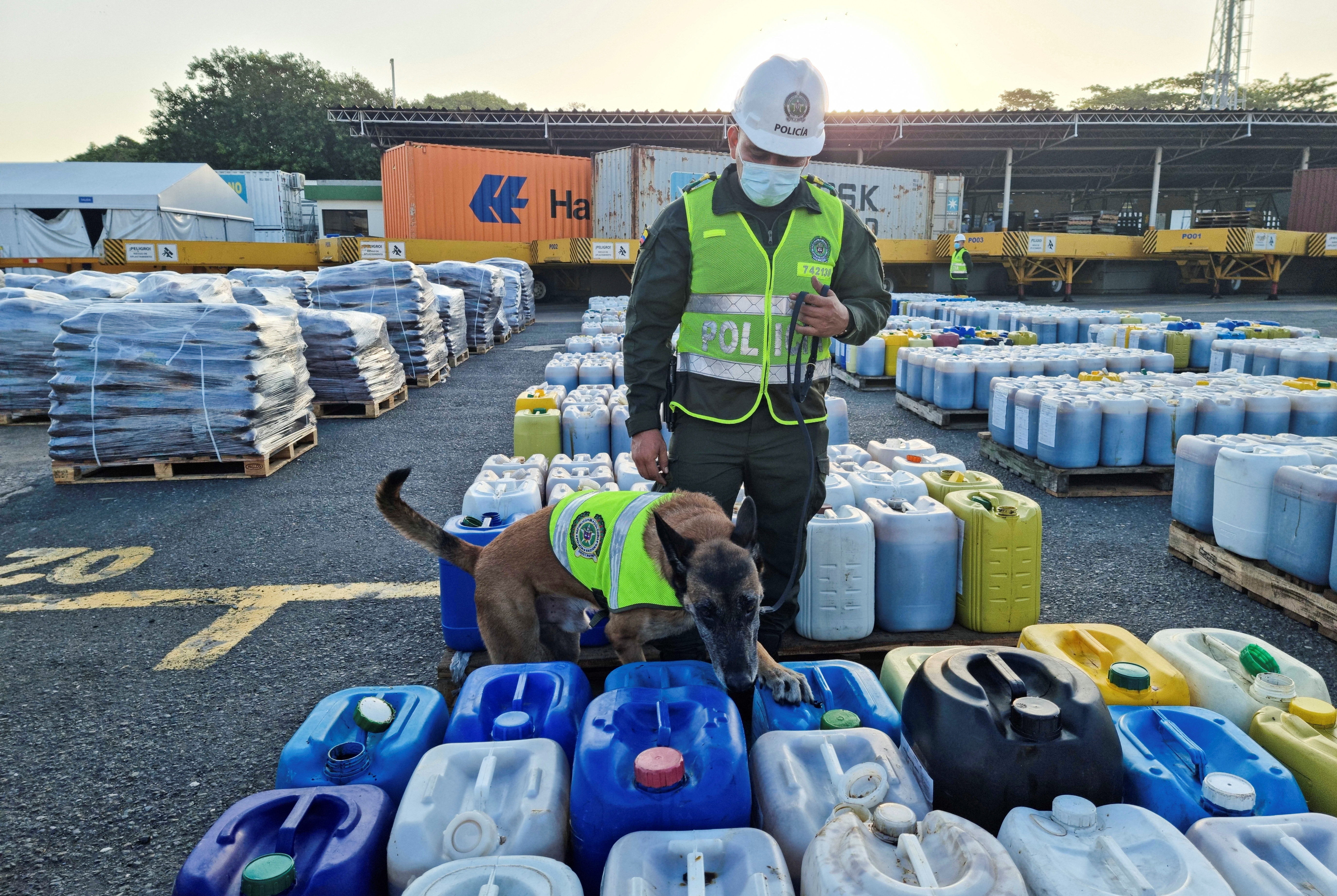 A drug-sniffing dog sniffs barrels that authorities say contain cocaine dissolved in chemical fertilizers and honey, in Cartagena