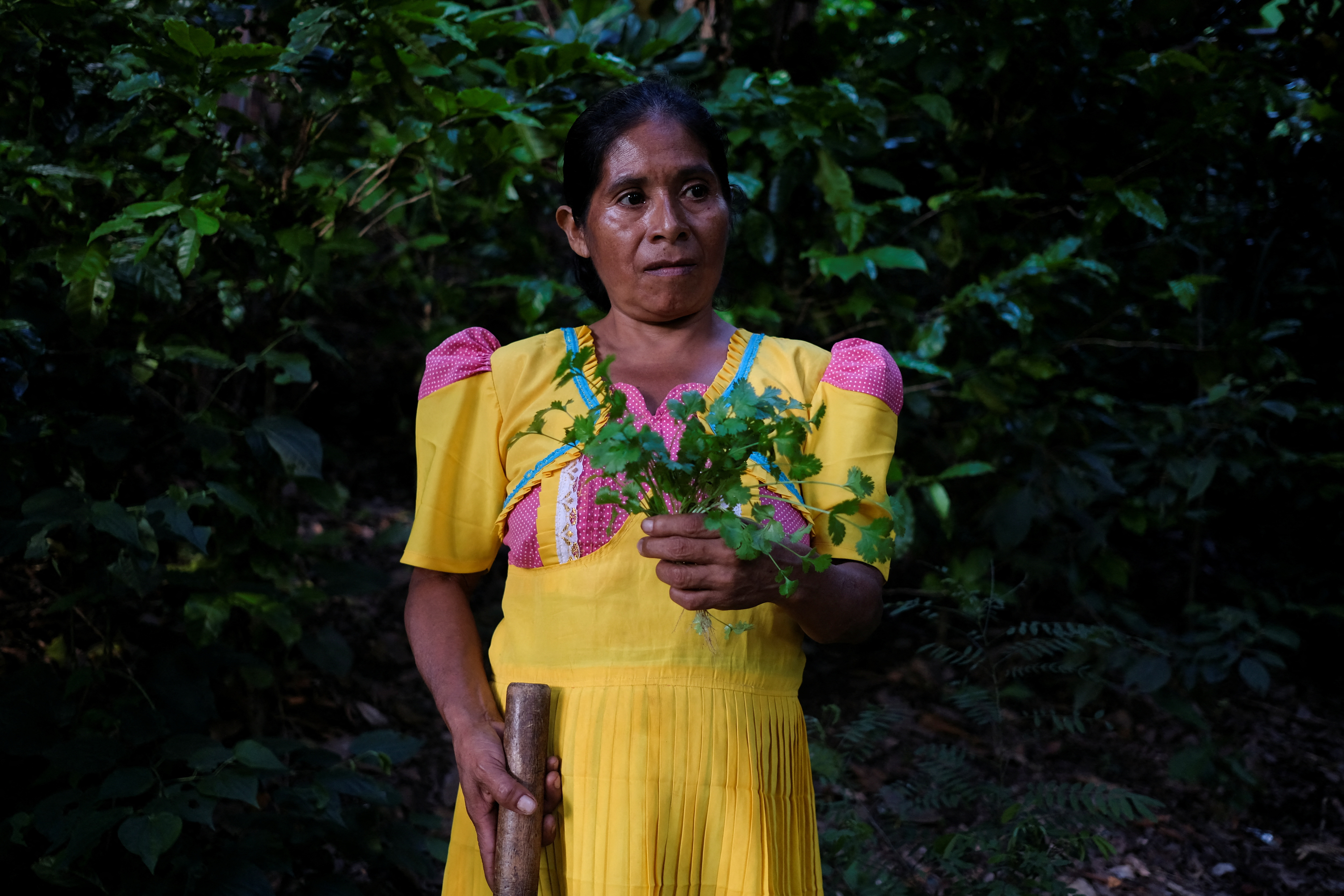 As drought breeds hunger in Guatemala, farming program aims to help