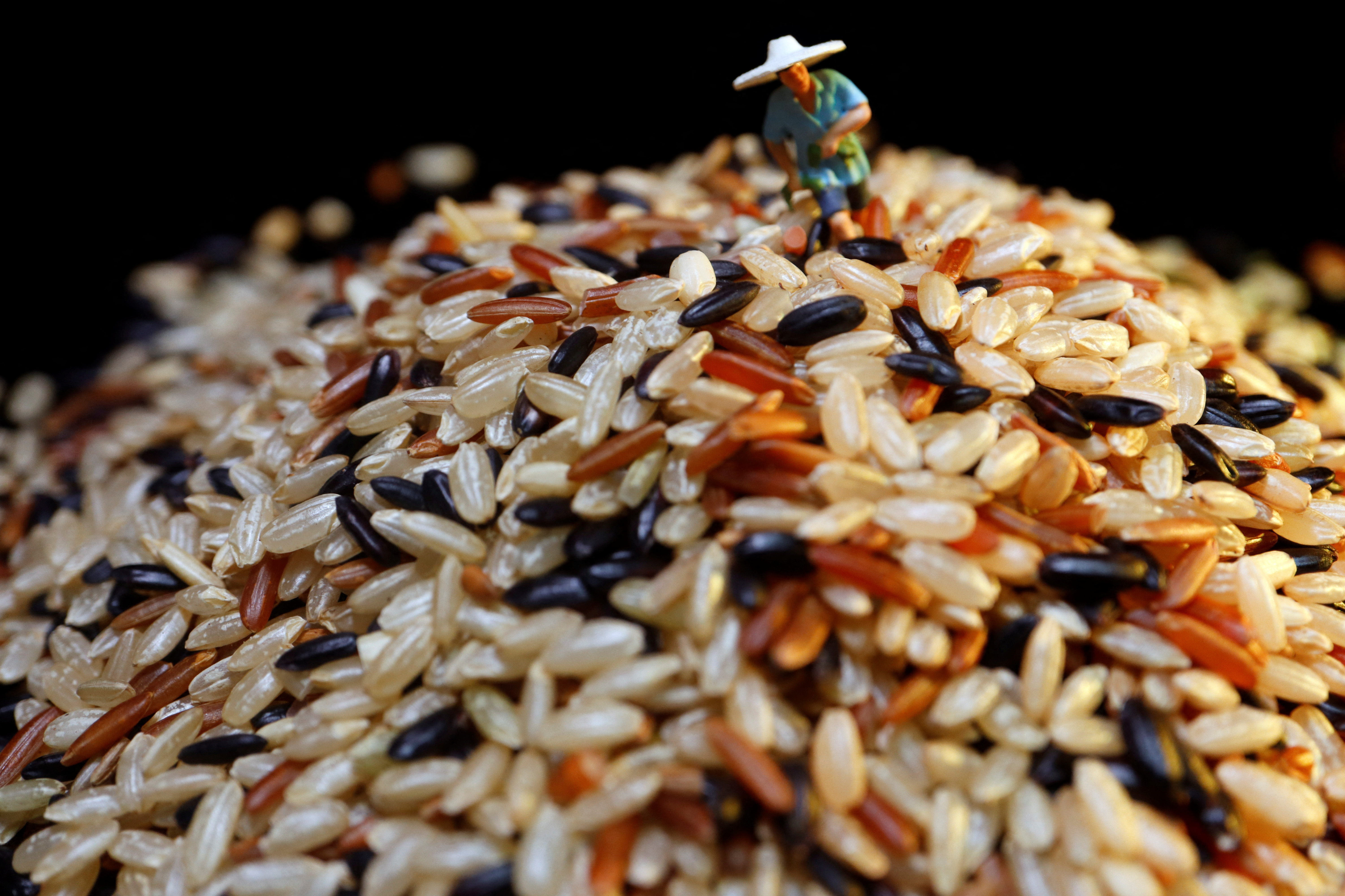 Monthly KOREA] Oh, So Rice :  : The official website of the  Republic of Korea