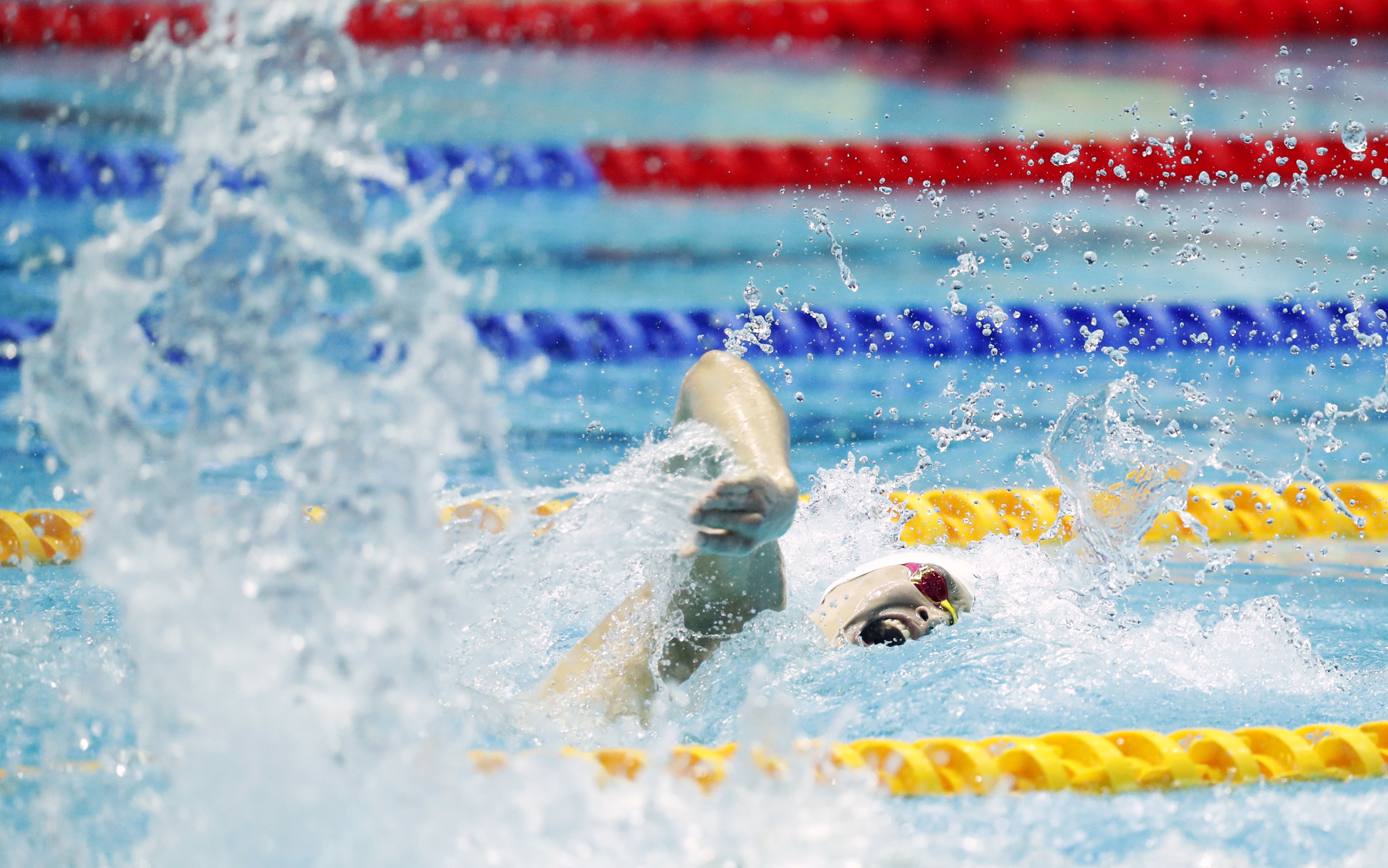 Sun Yang's career on the line at appeal hearing | Reuters