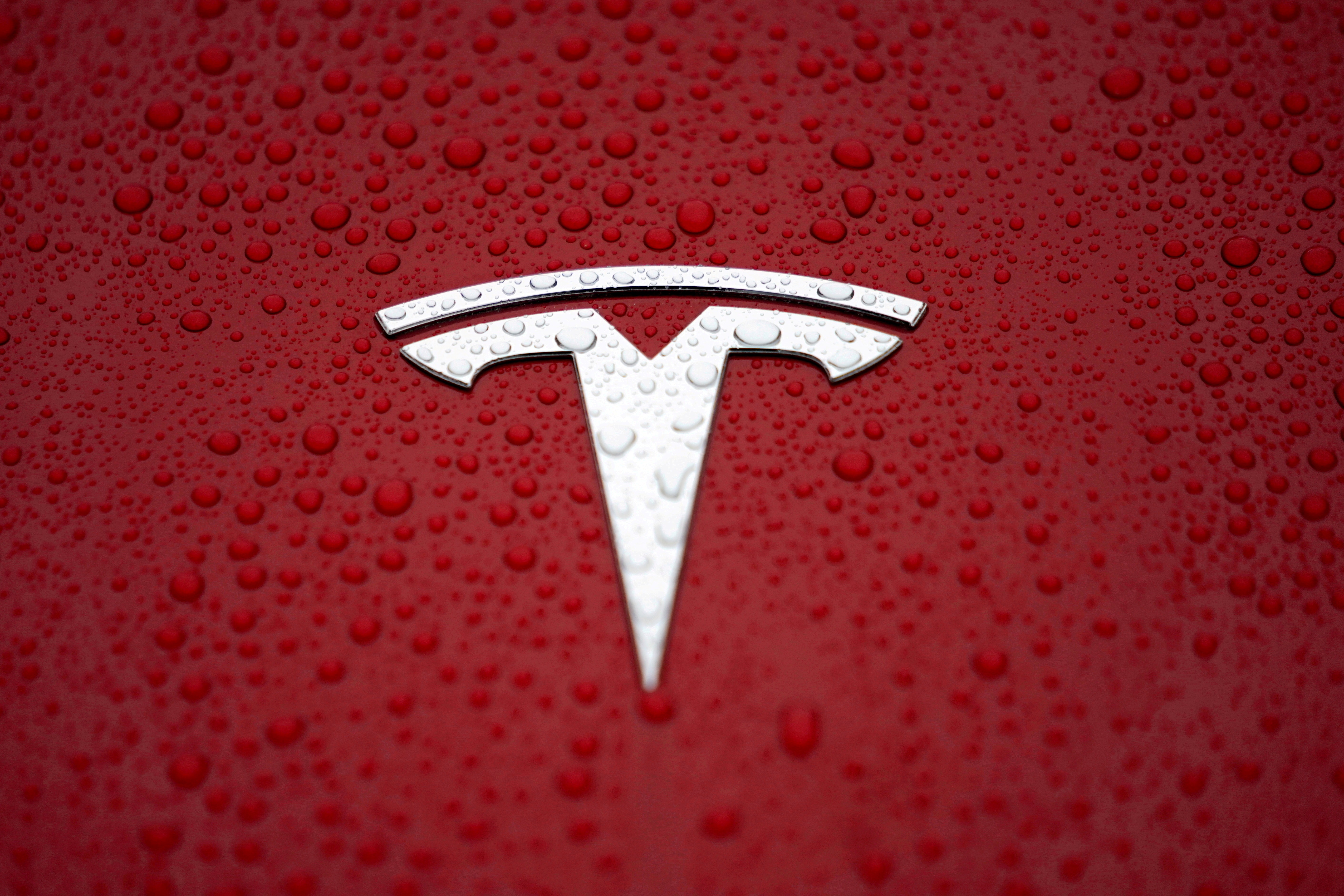 A Tesla logo is seen at the Tesla Shanghai Gigafactory in Shanghai, China January 7, 2019. REUTERS/Aly Song//File Photo