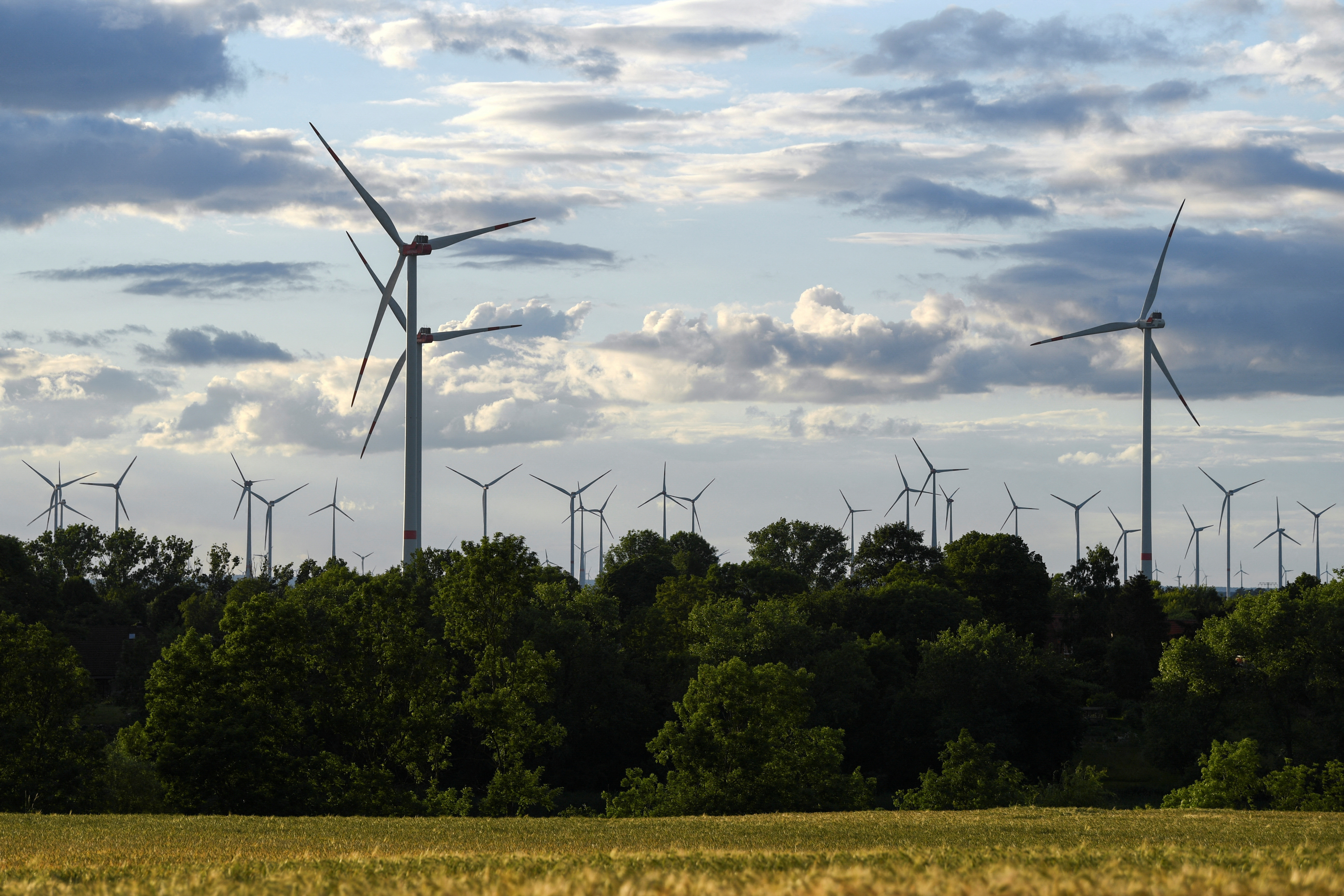 Power-generating wind turbines are pictured at a wind park near Prenzlau, Germany