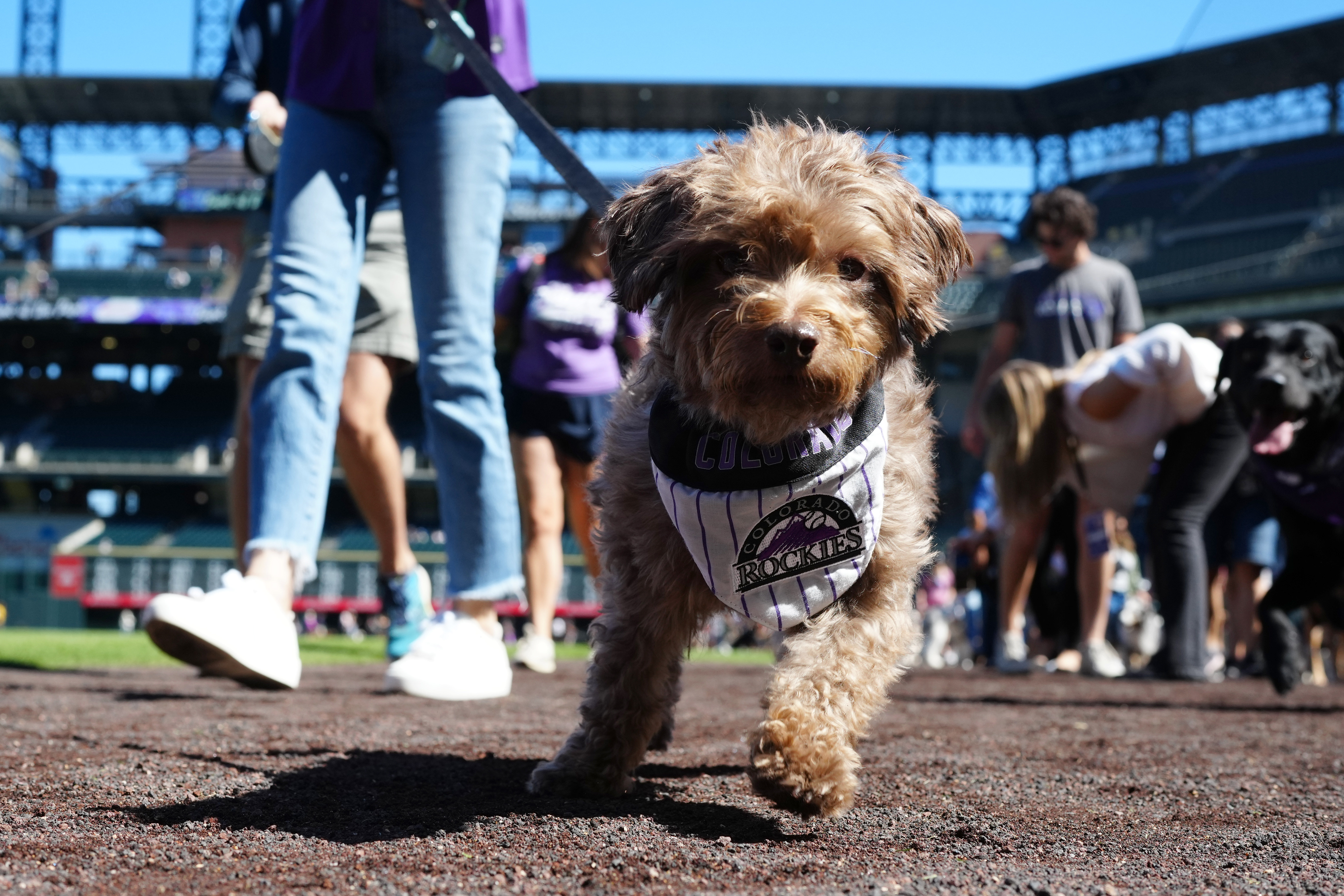 Rockies earn fifth straight with 5-2 win over Giants