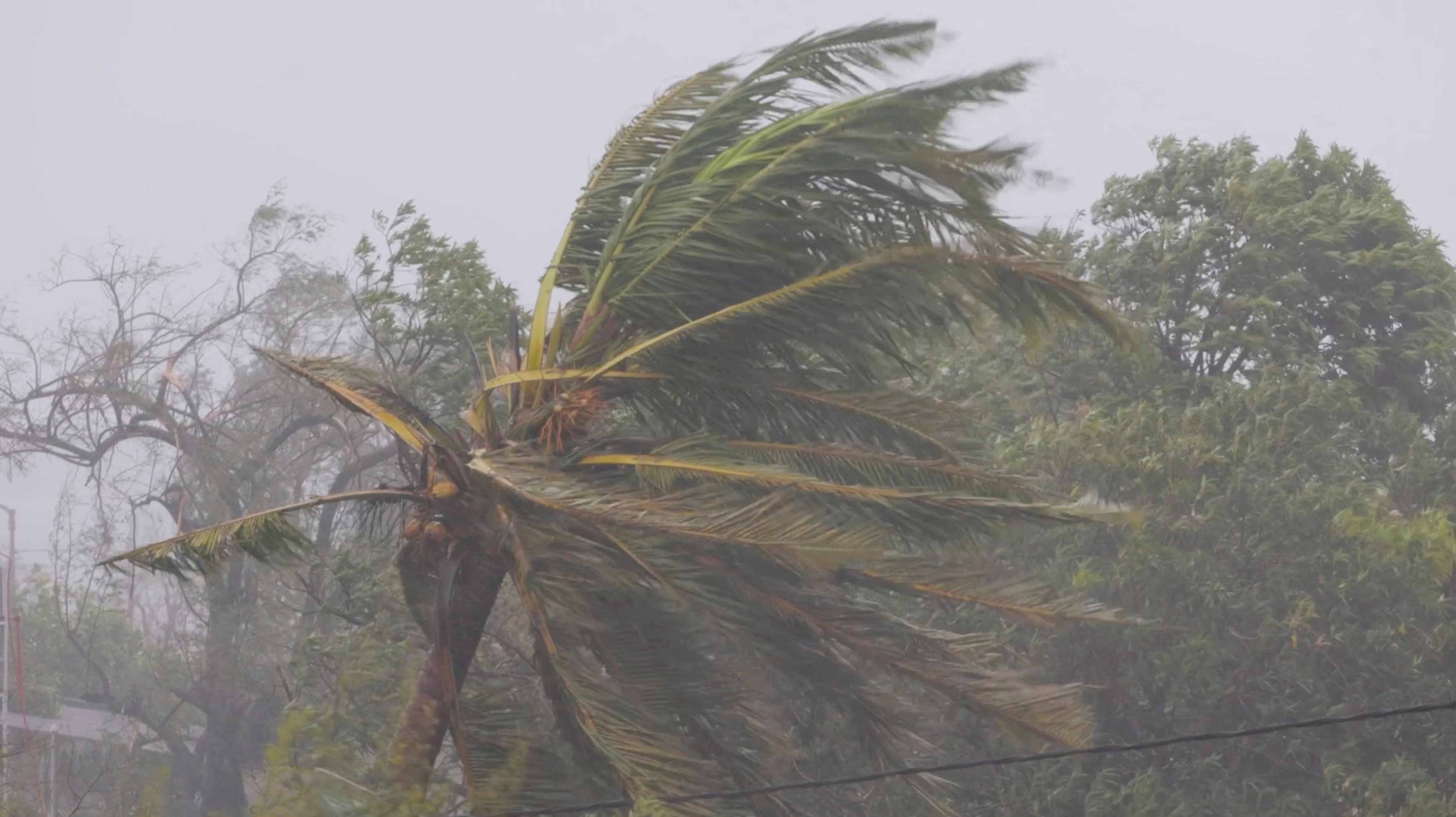 Cyclone Freddy was the most energetic storm on record. Is it a