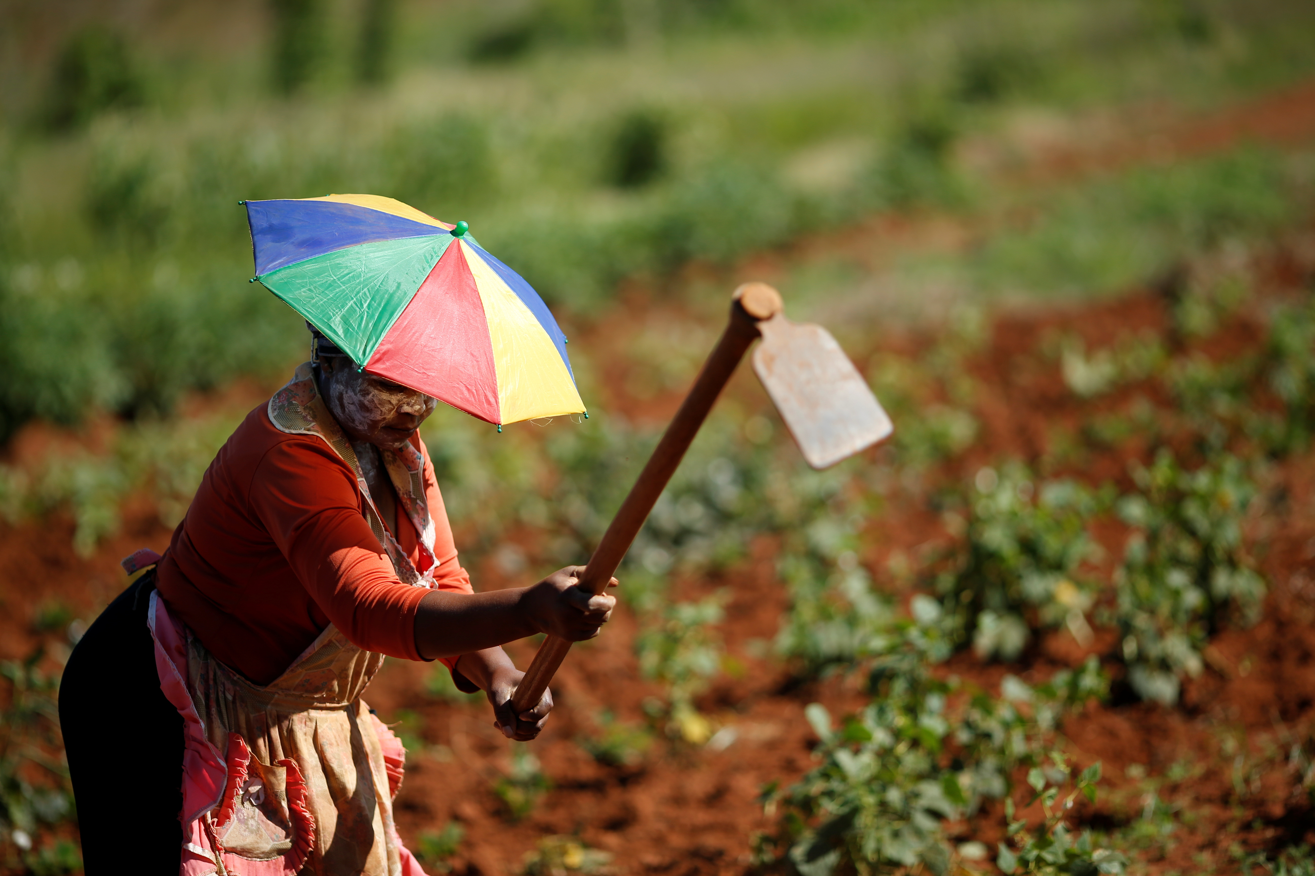 Nobutho Thethani, a local farmer works the land at Lawley informal settlement in the south of Johannesburg