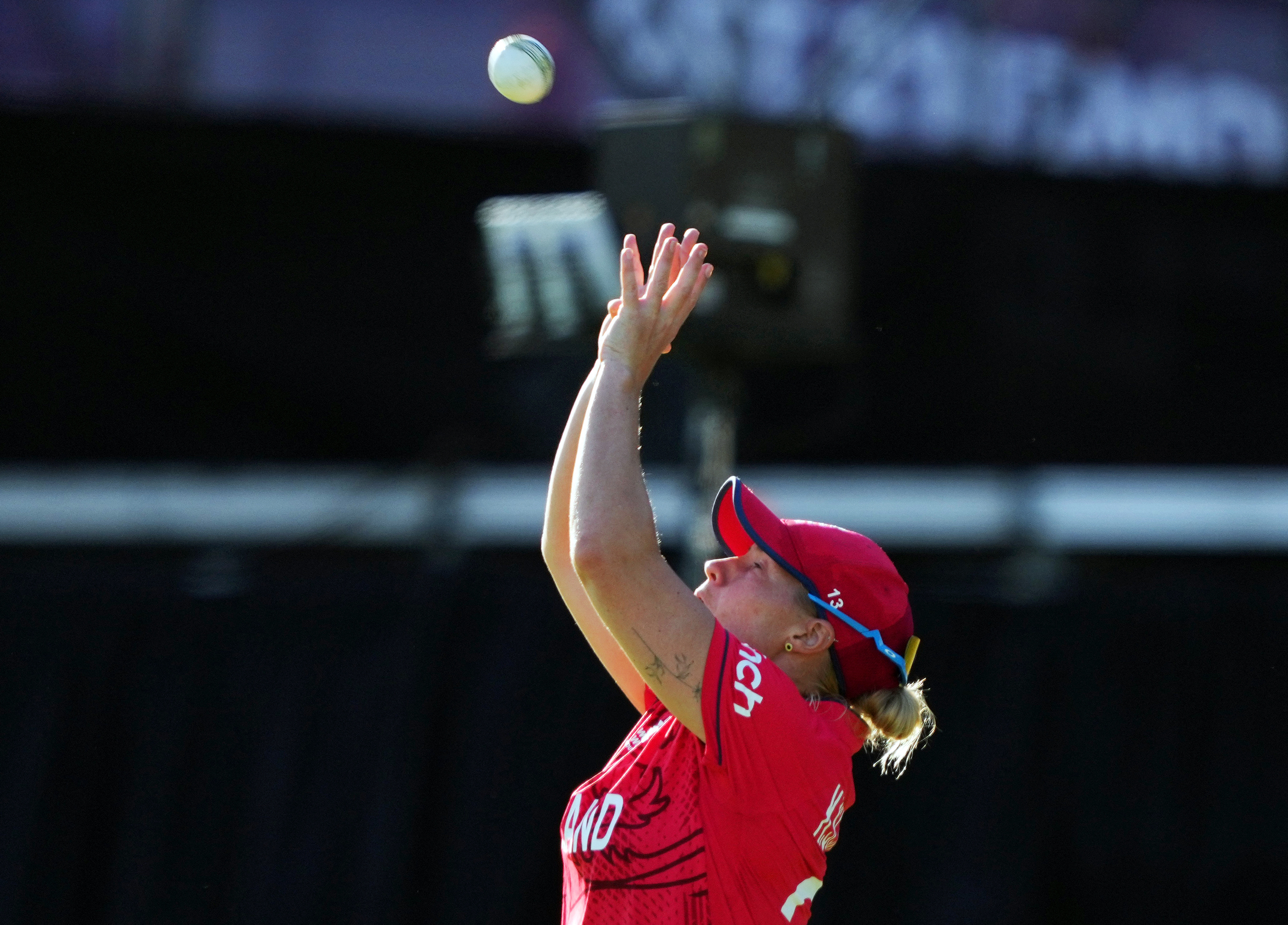 Best moments from the All-Star Celebrity Softball Game - Sarkar Yojna