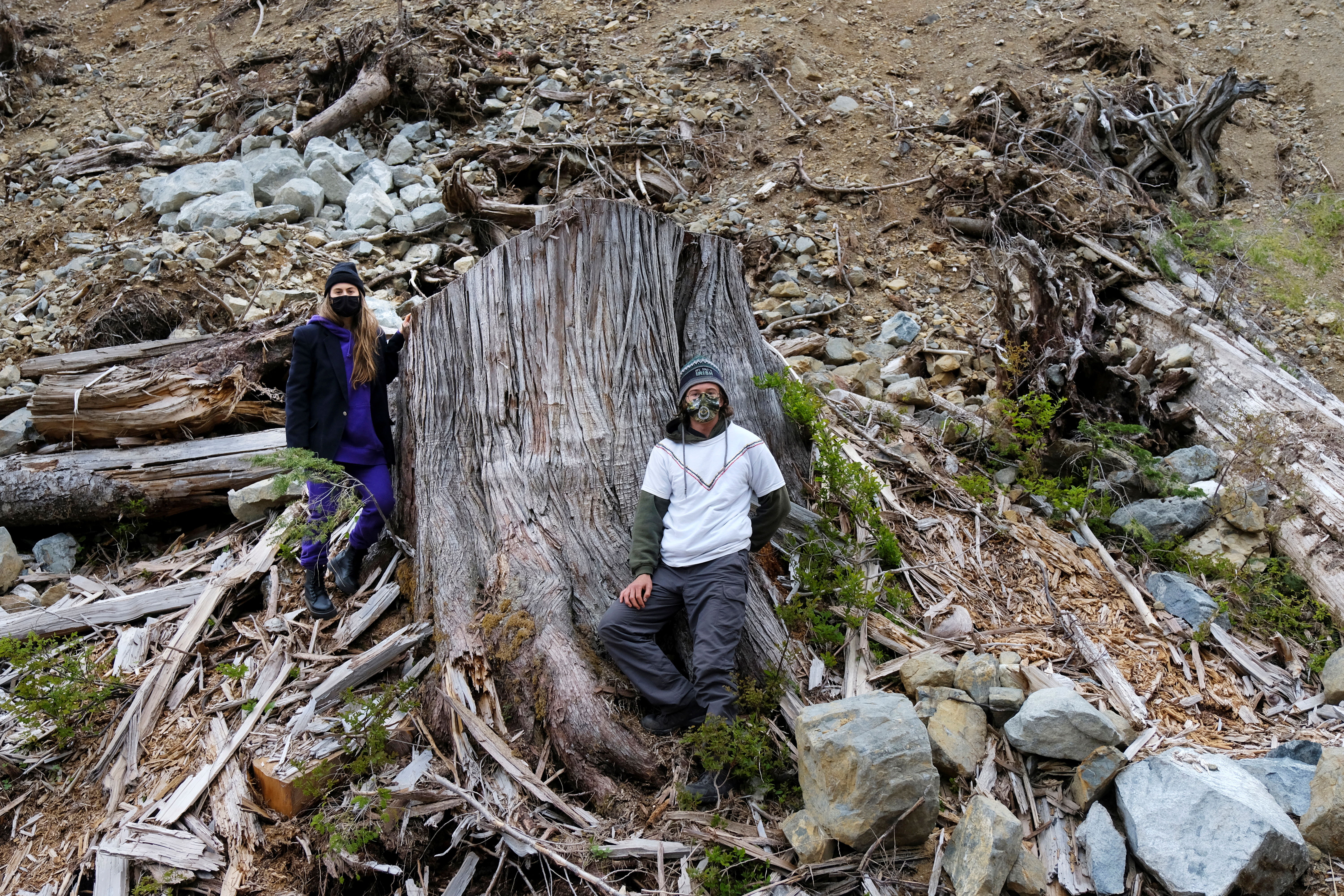 Two activists stand next to the stump of a large tree in a cut block of Tree Farm licence 46 near Port Renfrew