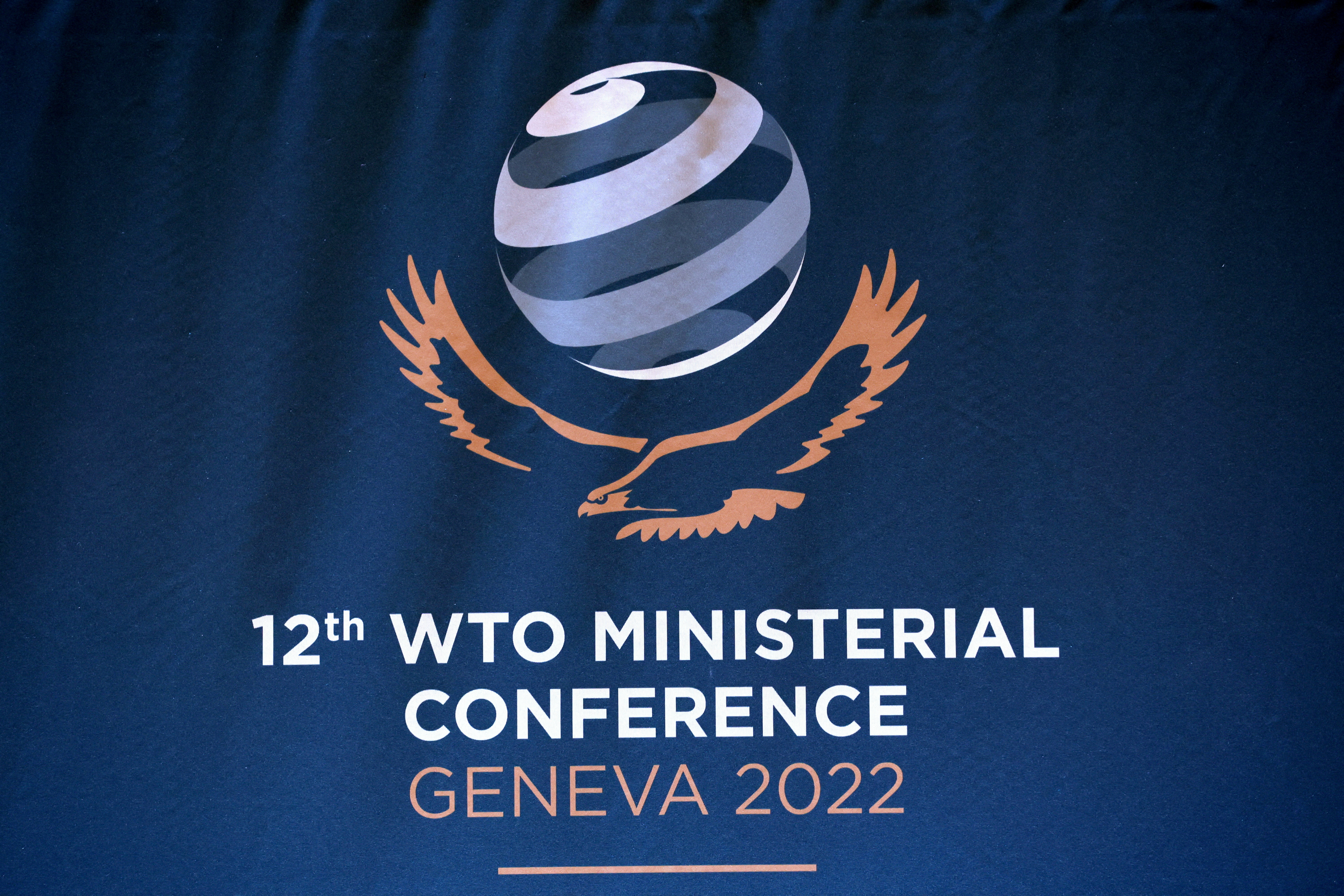 WTO Ministerial Conference (MC12) in Geneva