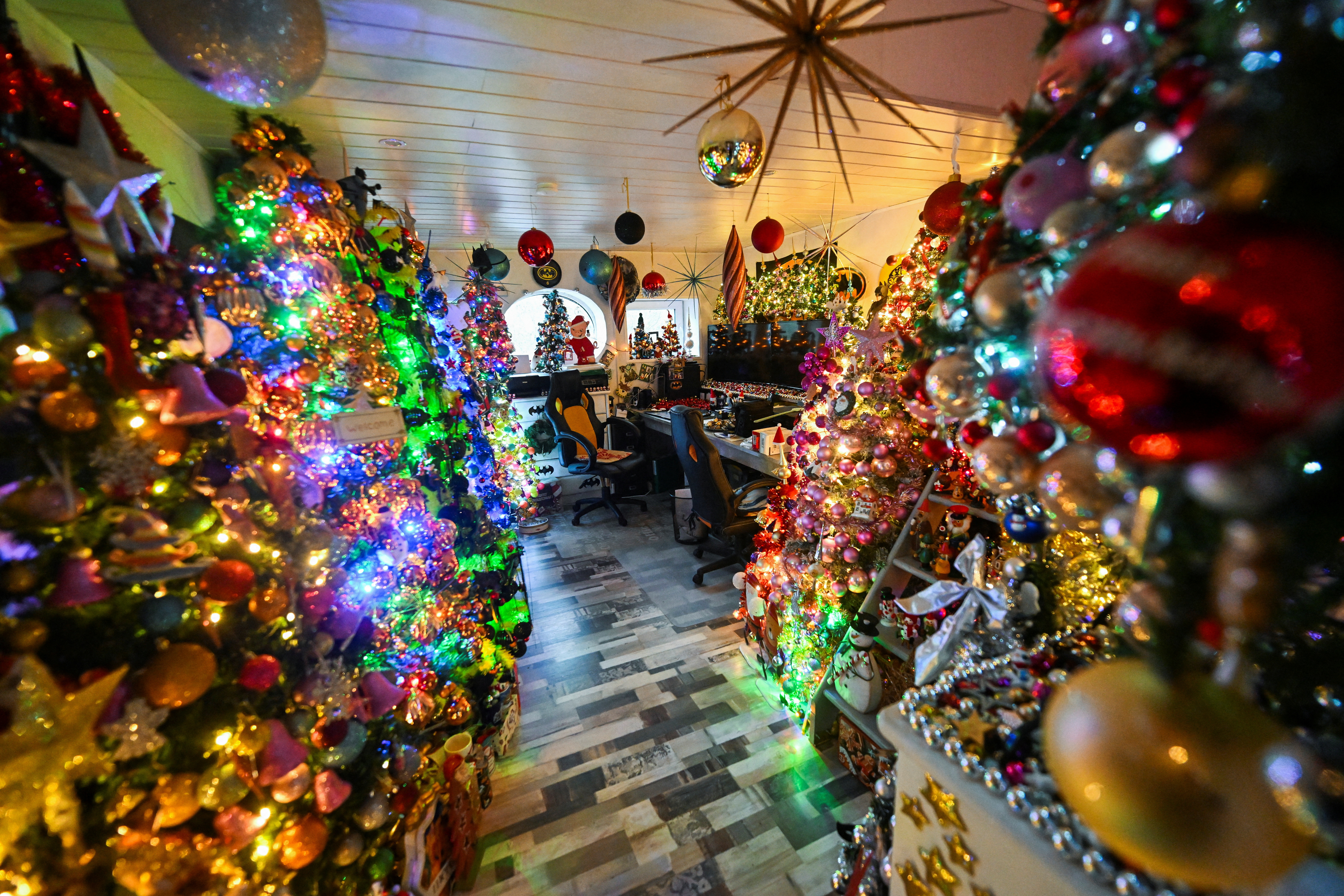 Record-breaking 605 Christmas trees bring Yuletide cheer