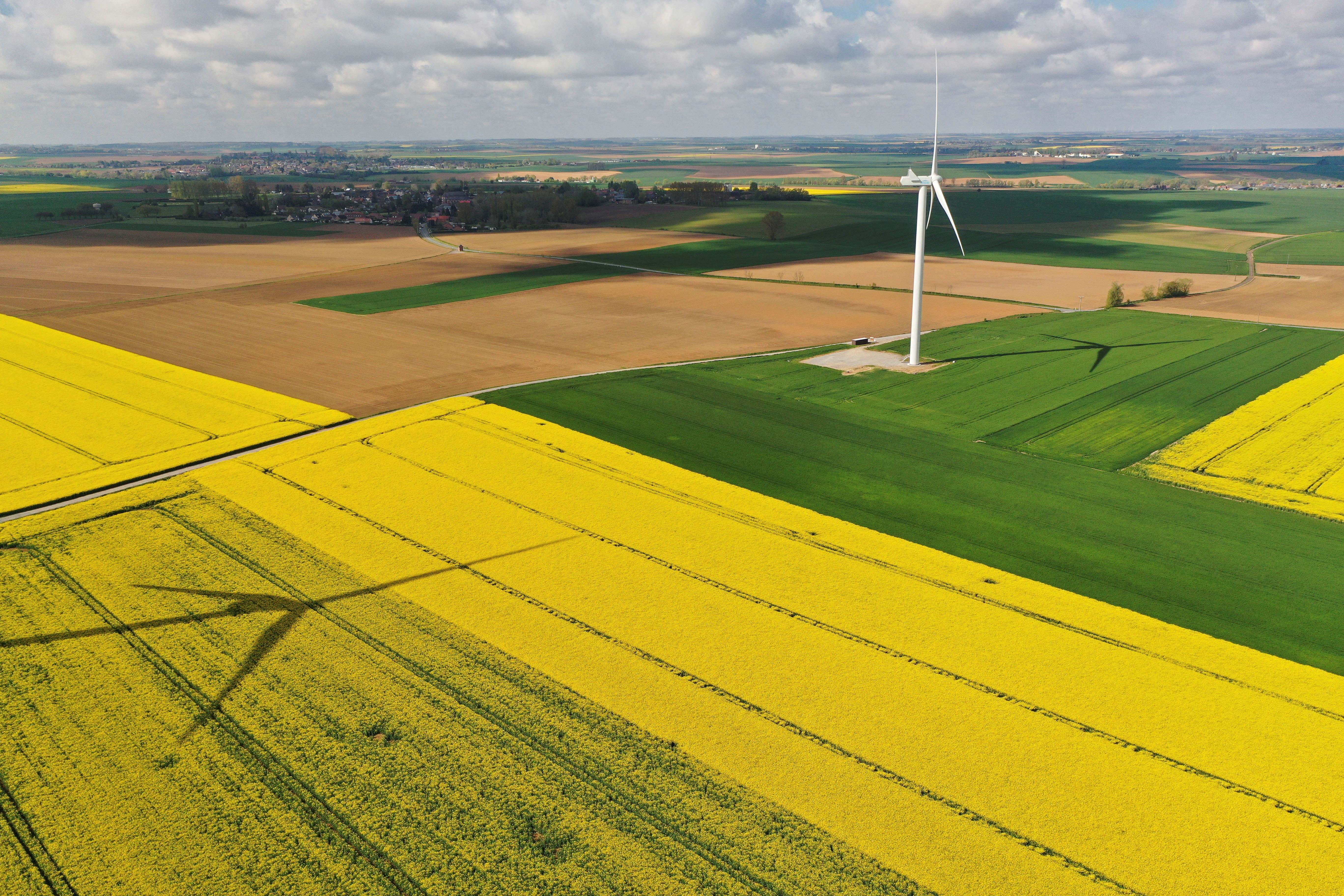 Aerial view shows power-generating windmill turbine amidst rapeseed fields, in Saint-Hilaire-lez-Cambrai