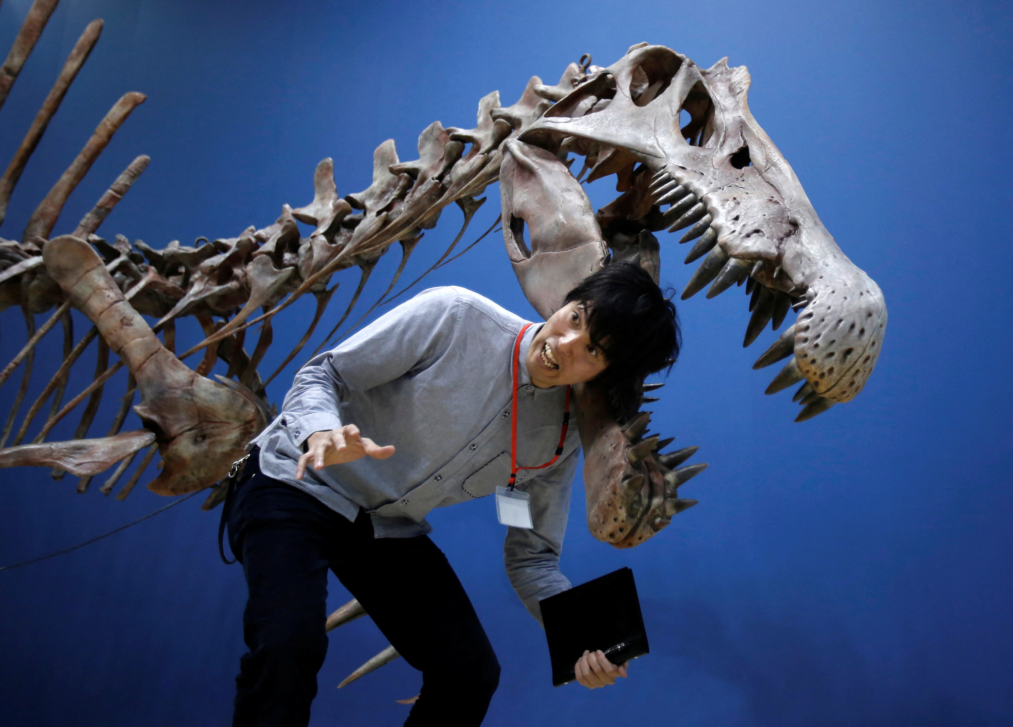 A reporter poses with a Spinosaurus's skeleton replica during a preparation and media preview for the Dinosaur EXPO at the National Museum of Nature and Science in Tokyo