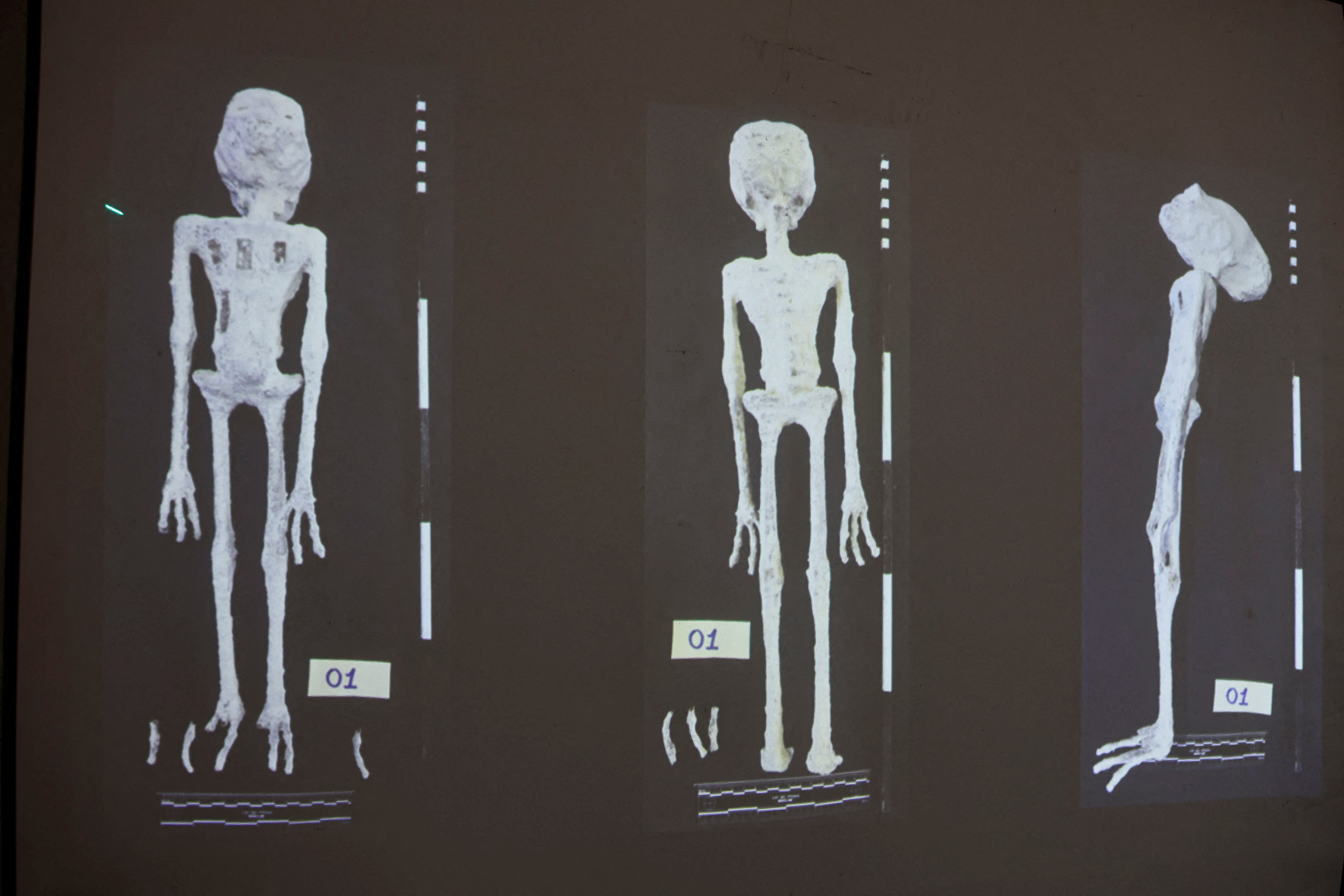 ペルーで発見の「宇宙人の遺体」は偽物、「完全に作り話」と専門家 ロイター