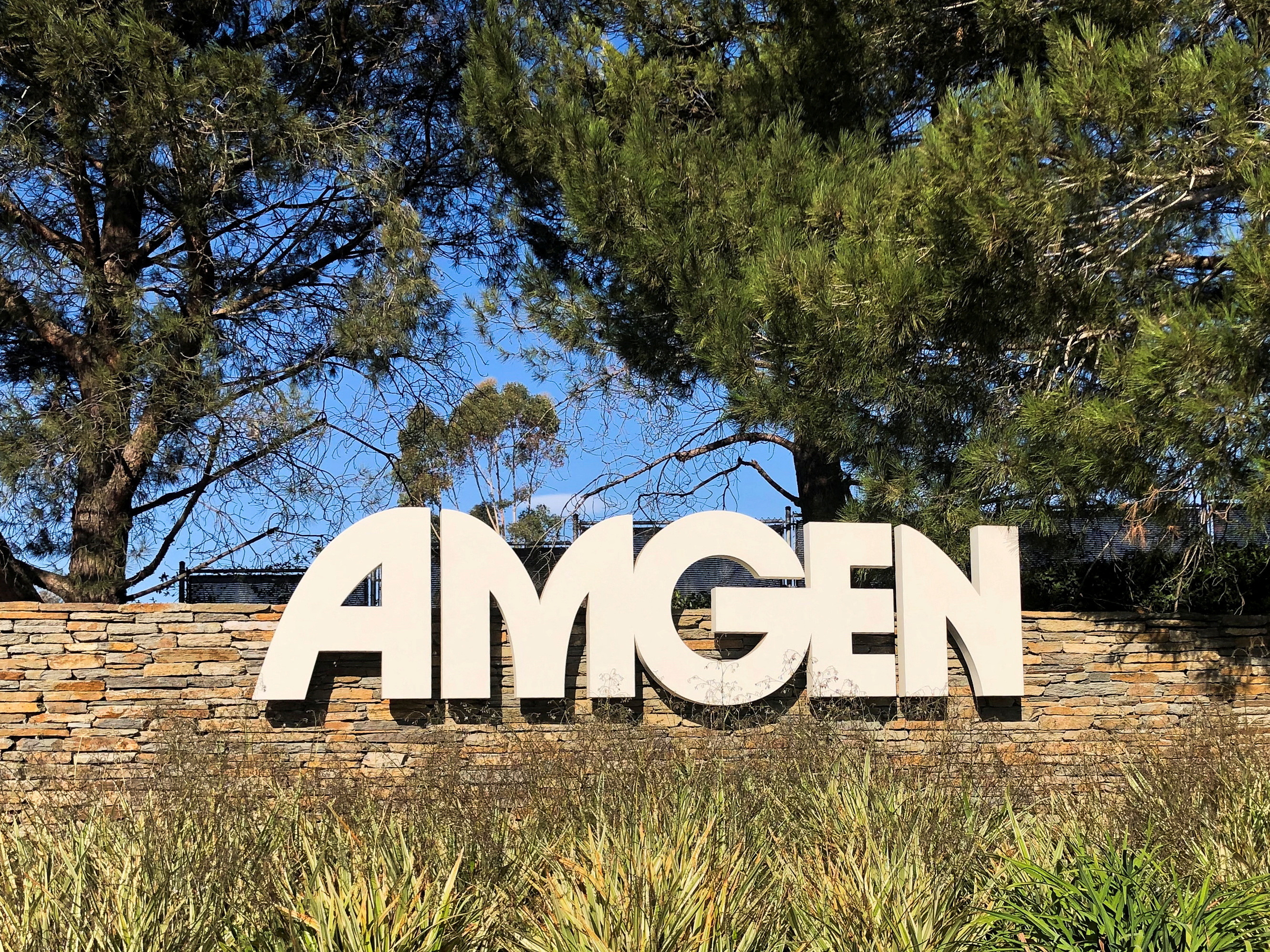 An Amgen sign is seen at the company's headquarters in Thousand Oaks