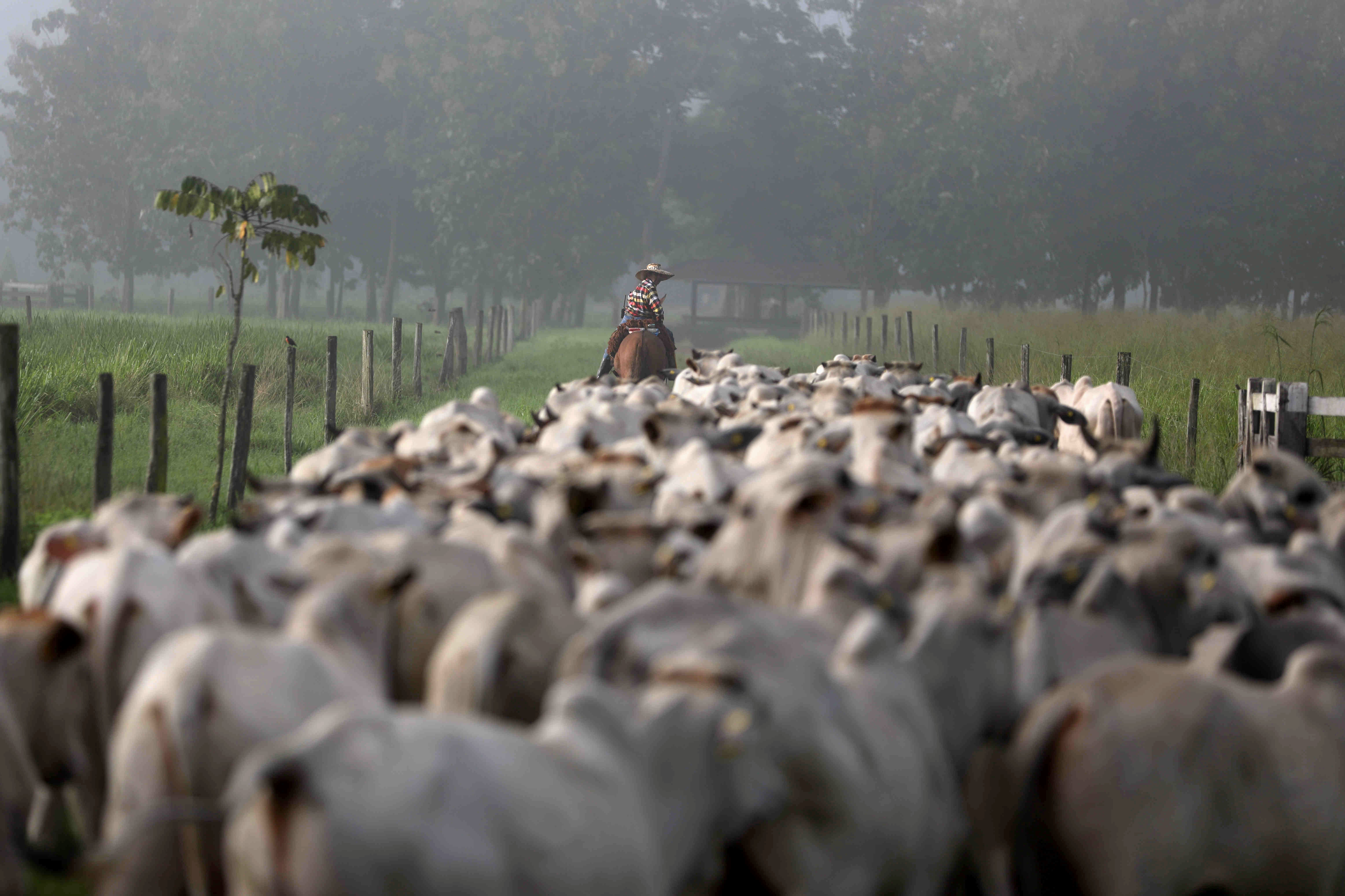 Brazil Threatening to Sue Volkswagen Over Use of Slave Labor