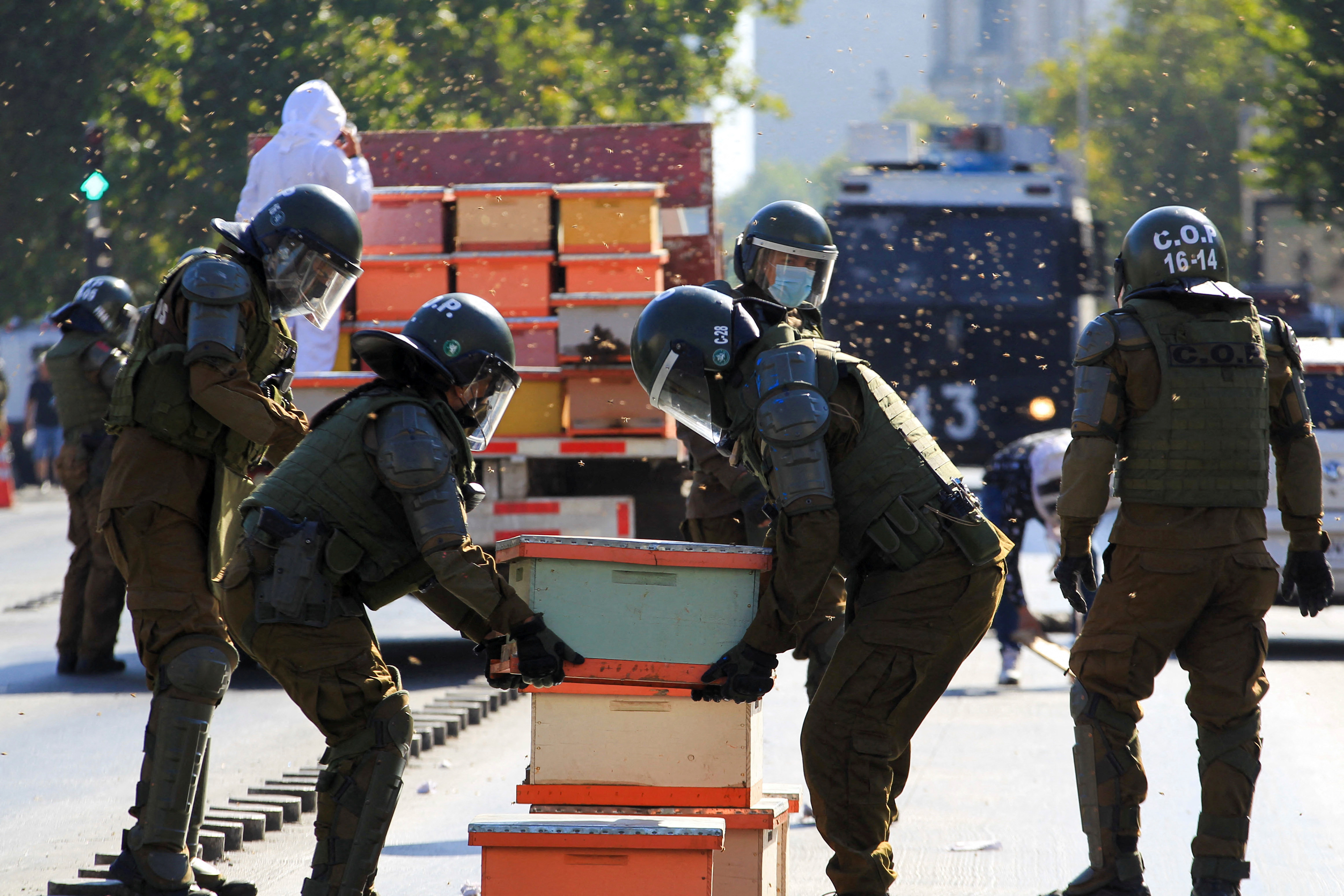 Riot police remove honeycombs during a protest after beekeepers who demanded government measures to face the persistent drought that affects the country blocked the street with honeycombs full of bees in front of the Chilean presidential palace, in Santiago, Chile, January 3, 2022. REUTERS/Dragomir Yankovic 